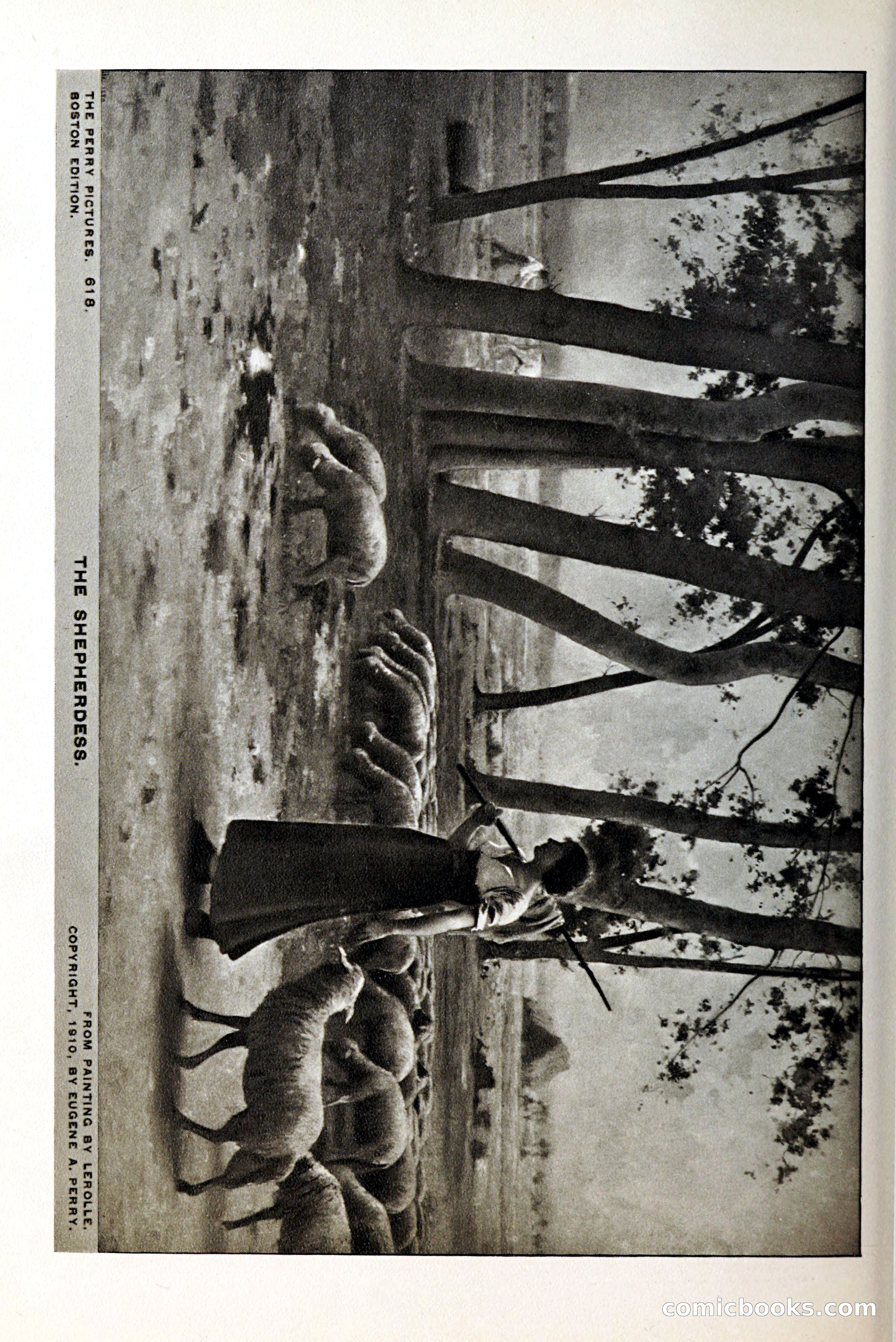 Blue Book of Brookline and Longwood — page 171 of 349