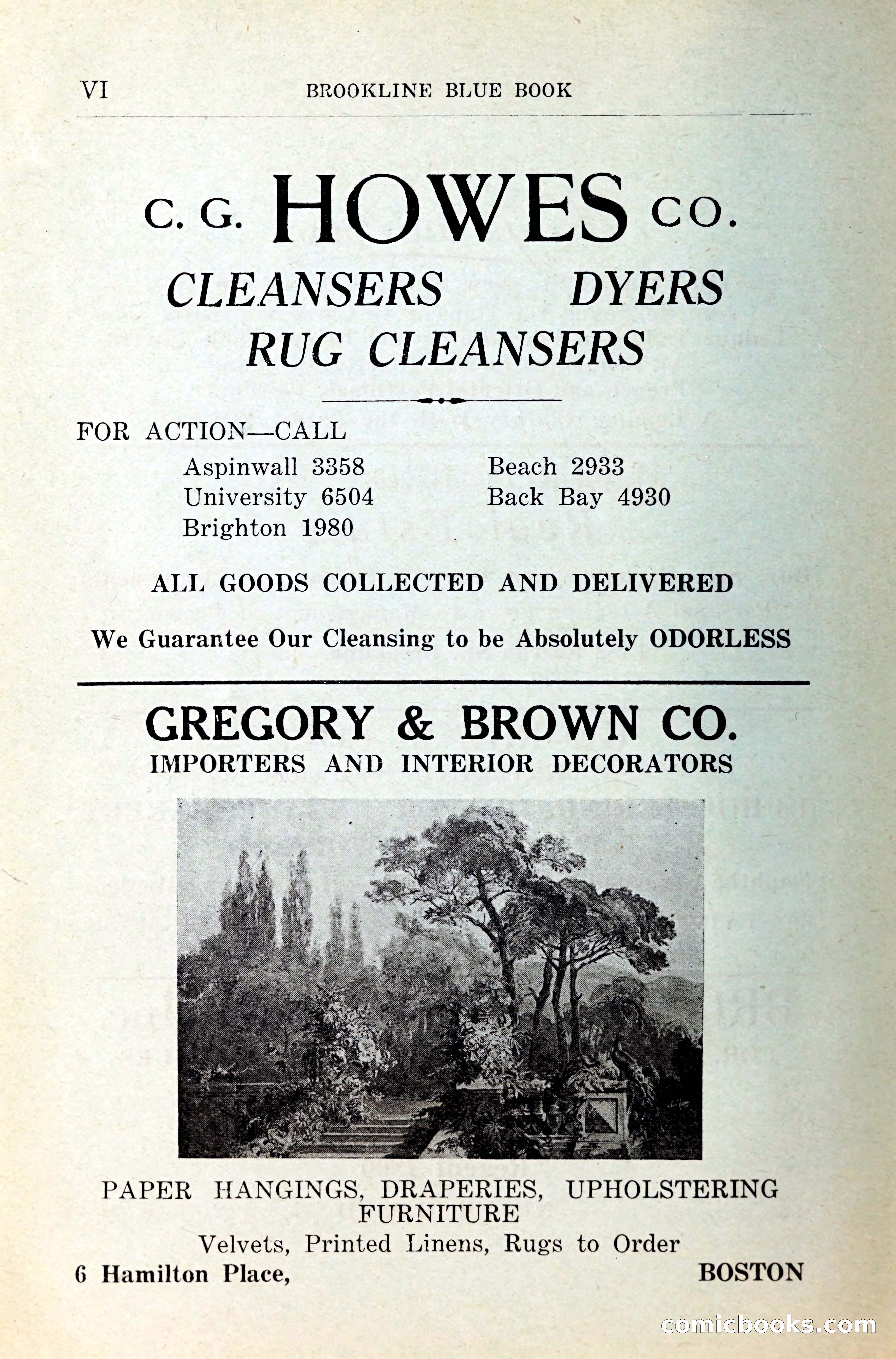 Blue Book of Brookline — page 9 of 341