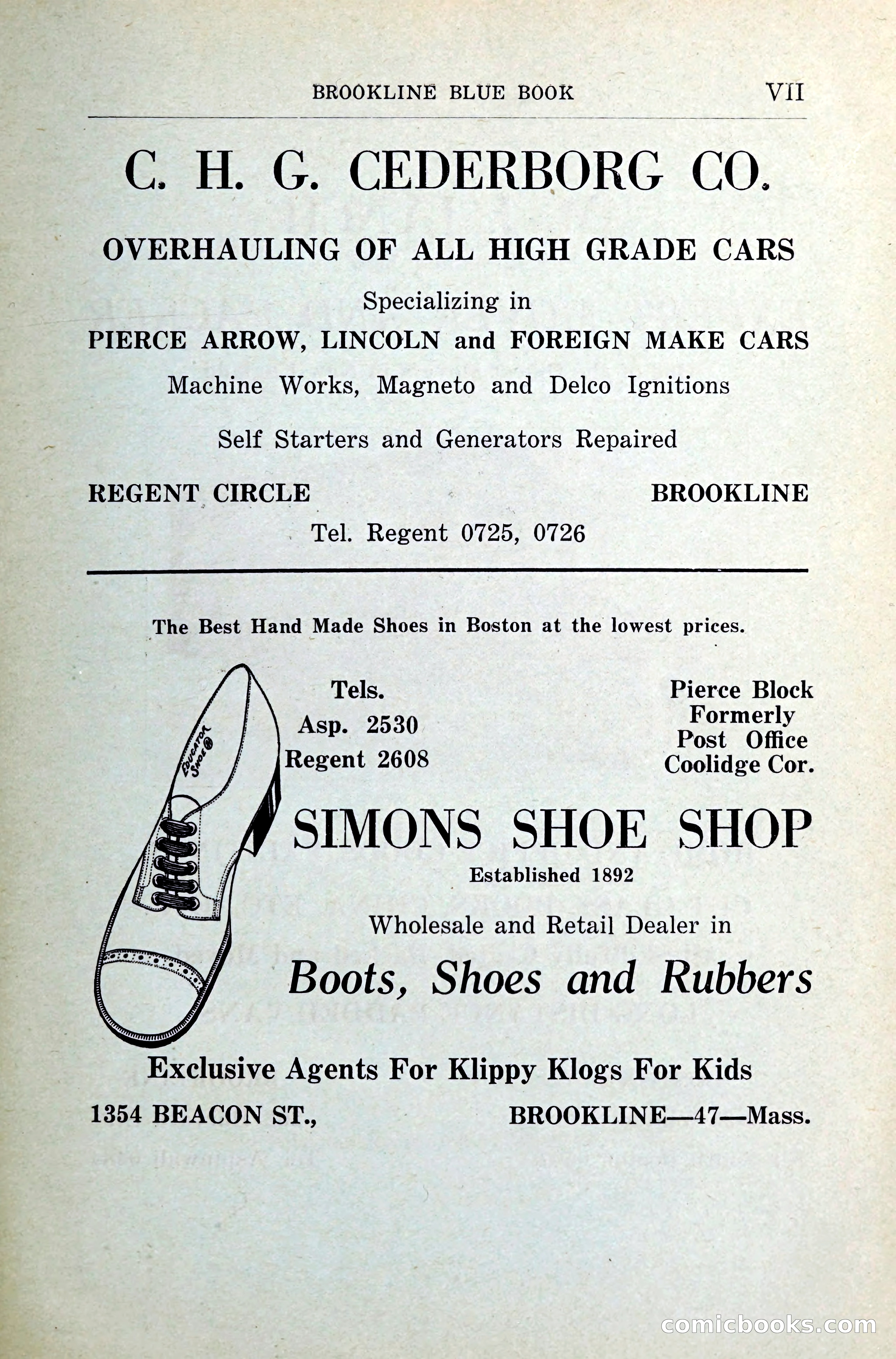 Blue Book of Brookline — page 10 of 341