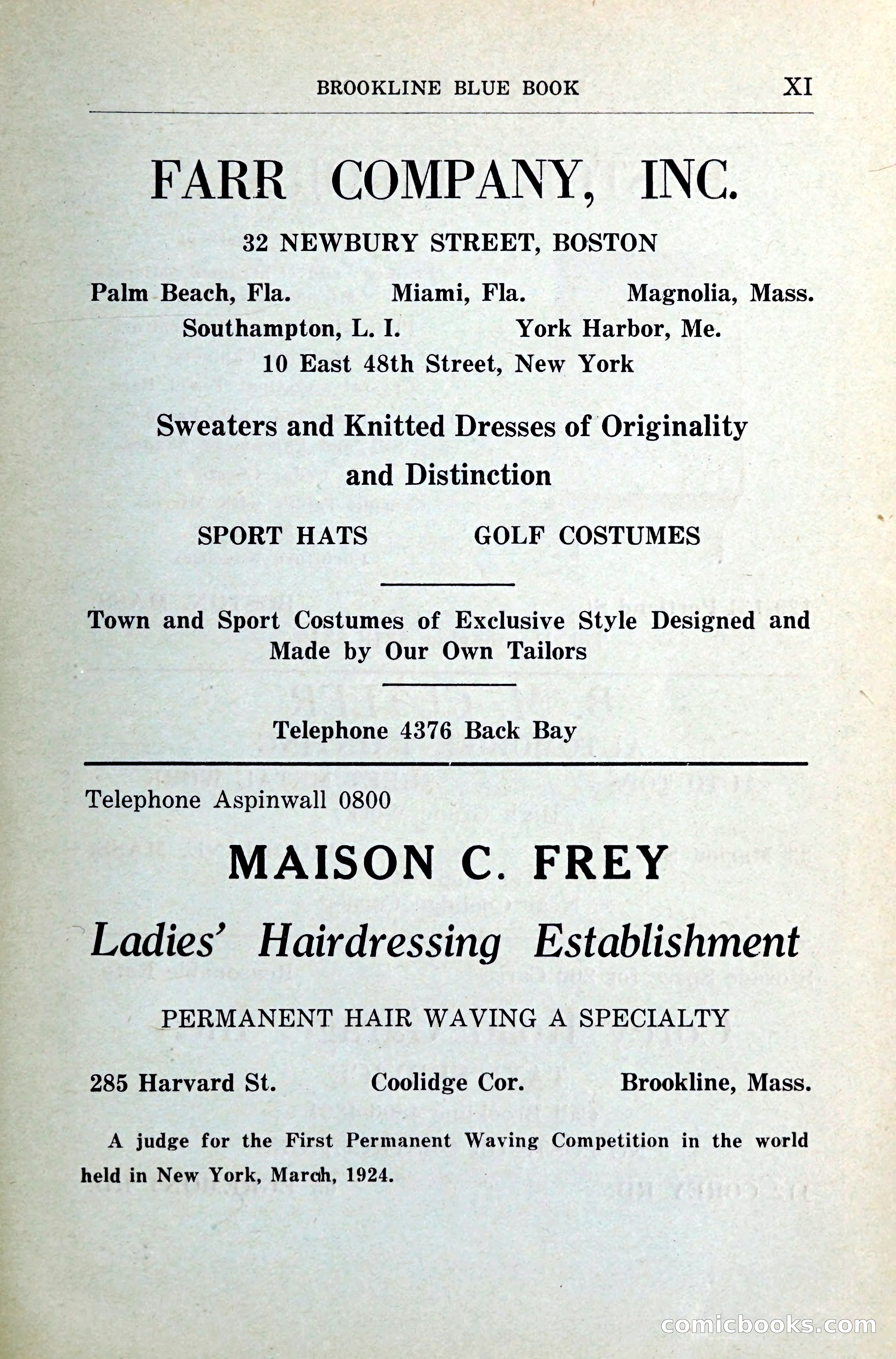 Blue Book of Brookline — page 14 of 341