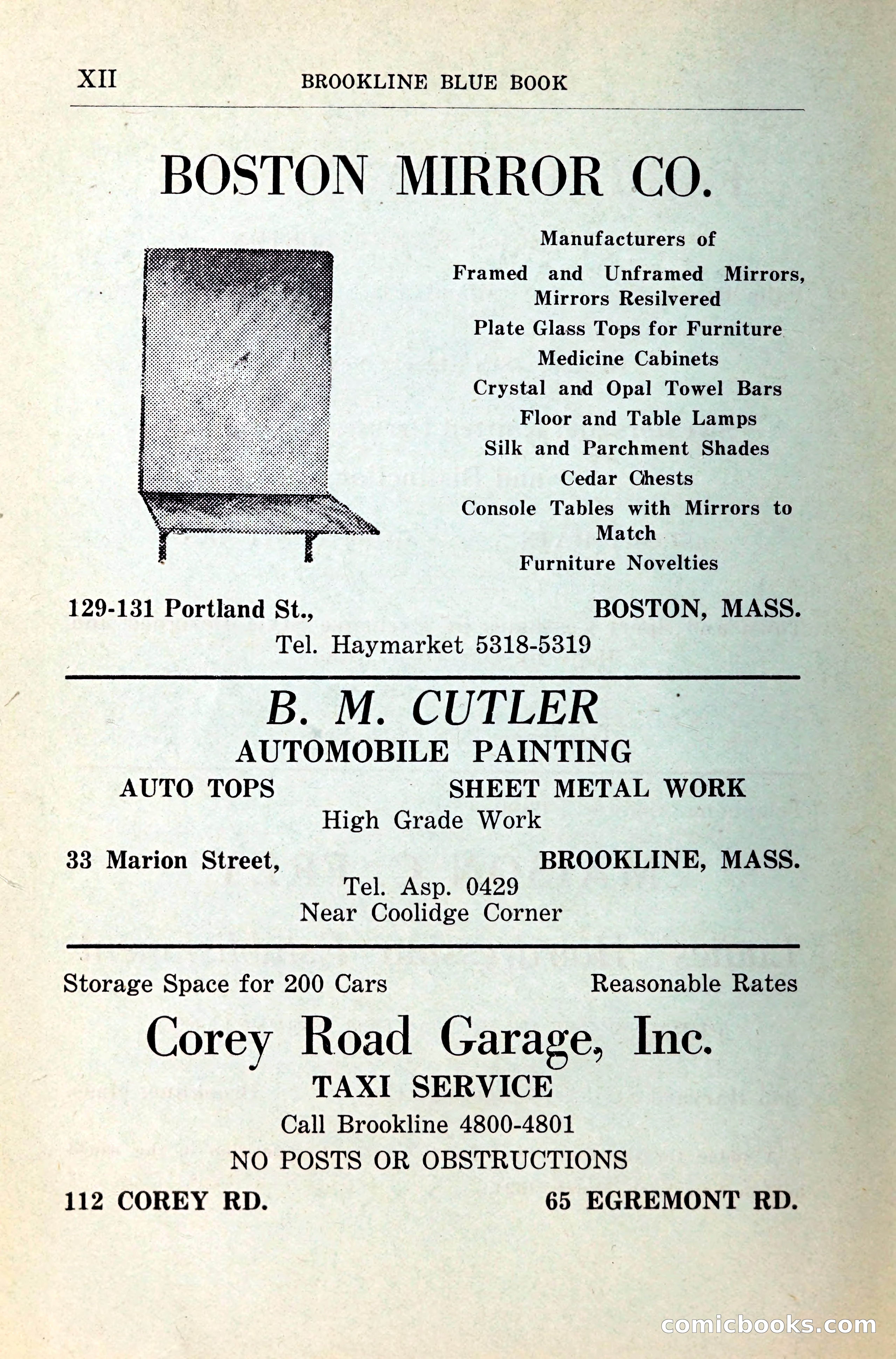 Blue Book of Brookline — page 15 of 341