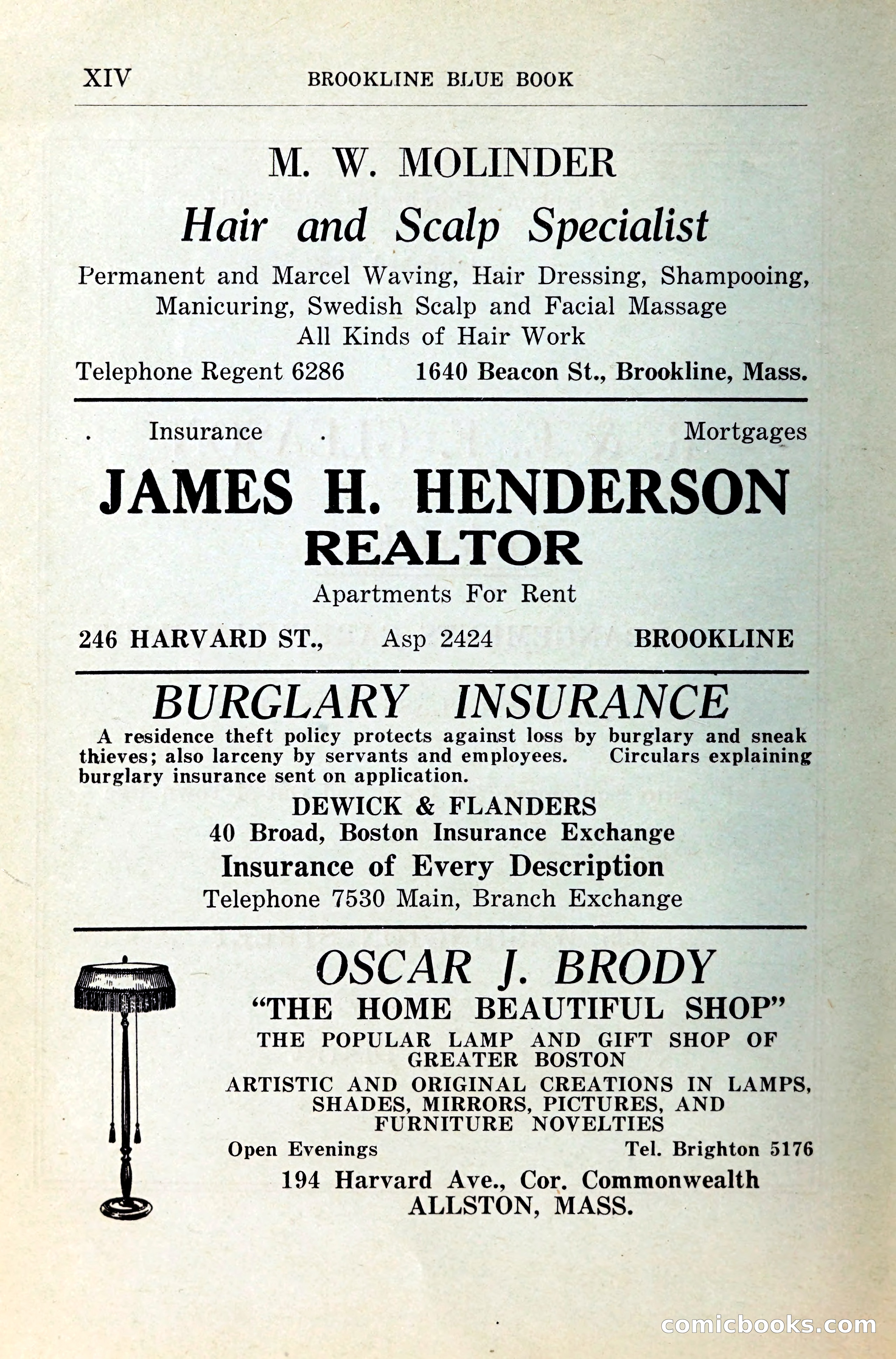 Blue Book of Brookline — page 17 of 341
