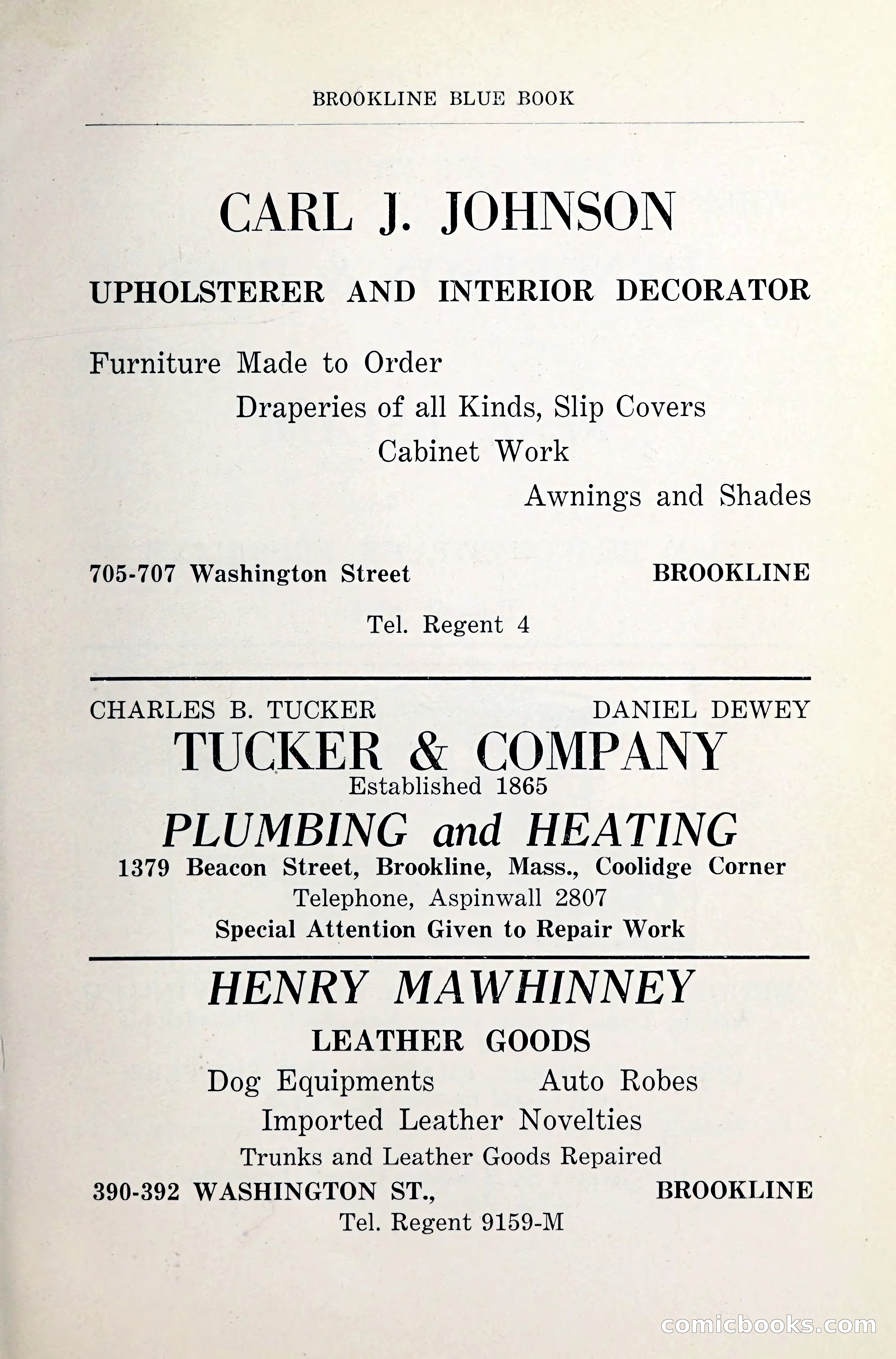 Blue Book of Brookline — page 30 of 341