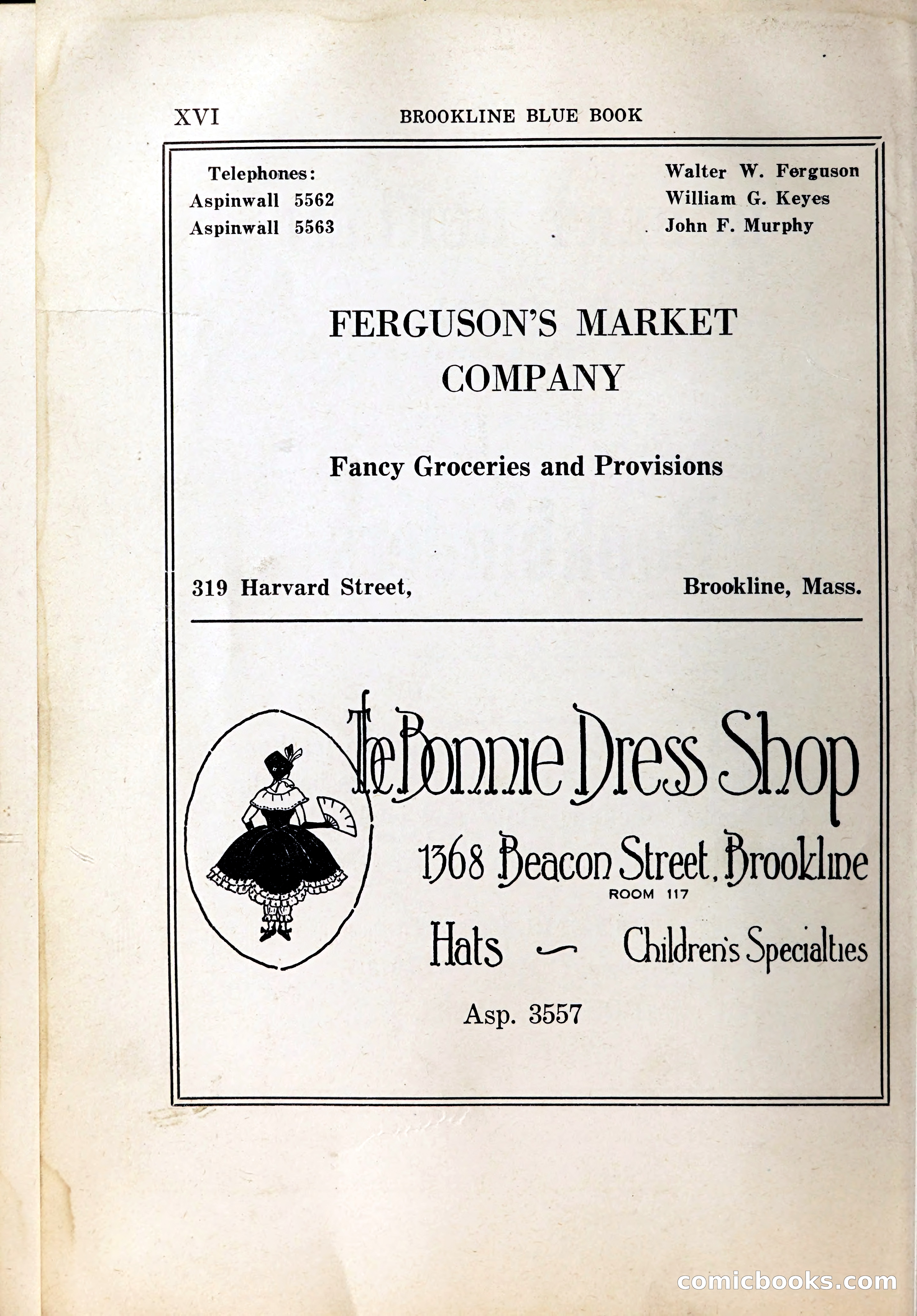 Blue Book of Brookline, 1926 — page 17 of 327