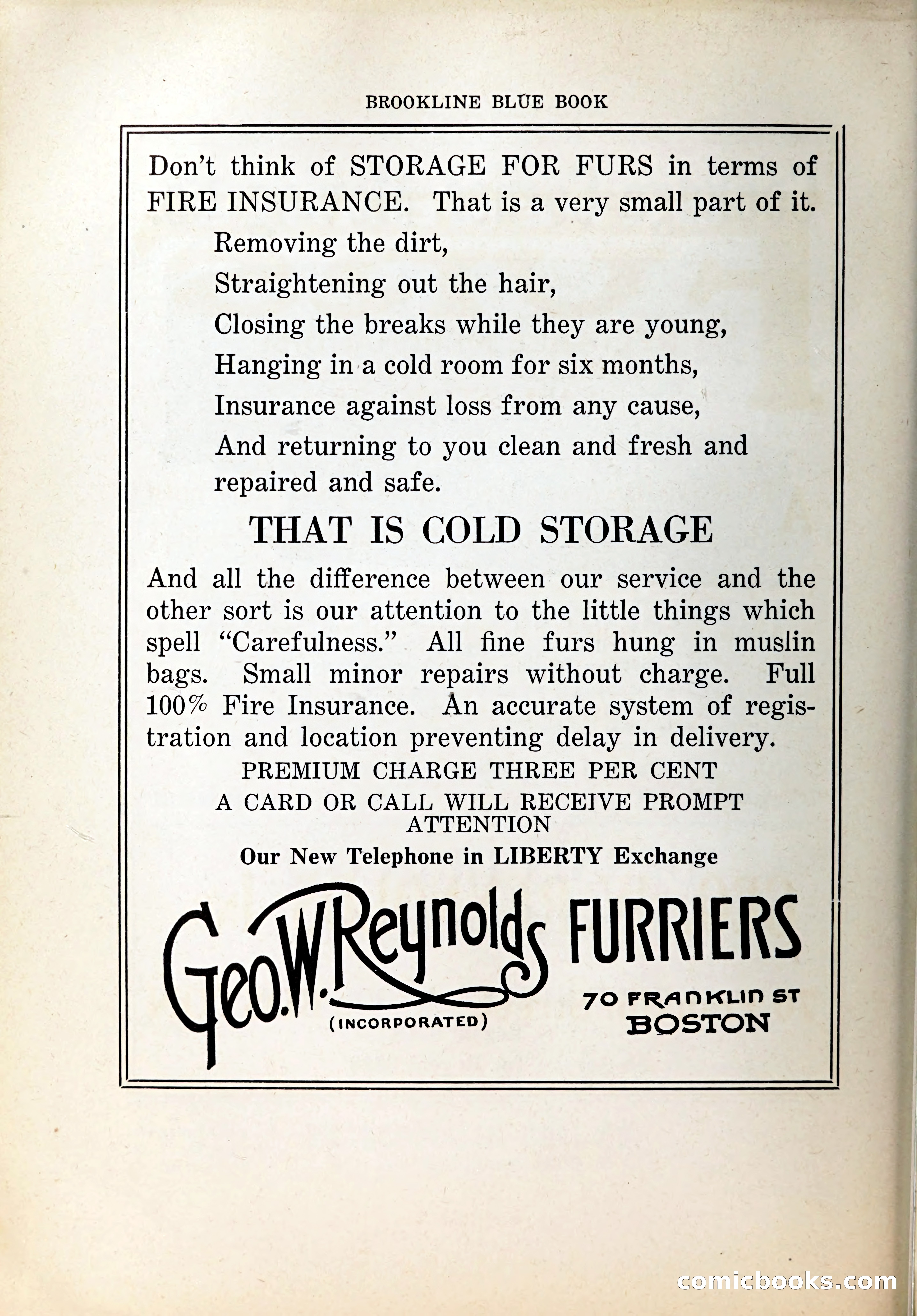 Blue Book of Brookline, 1926 — page 95 of 327