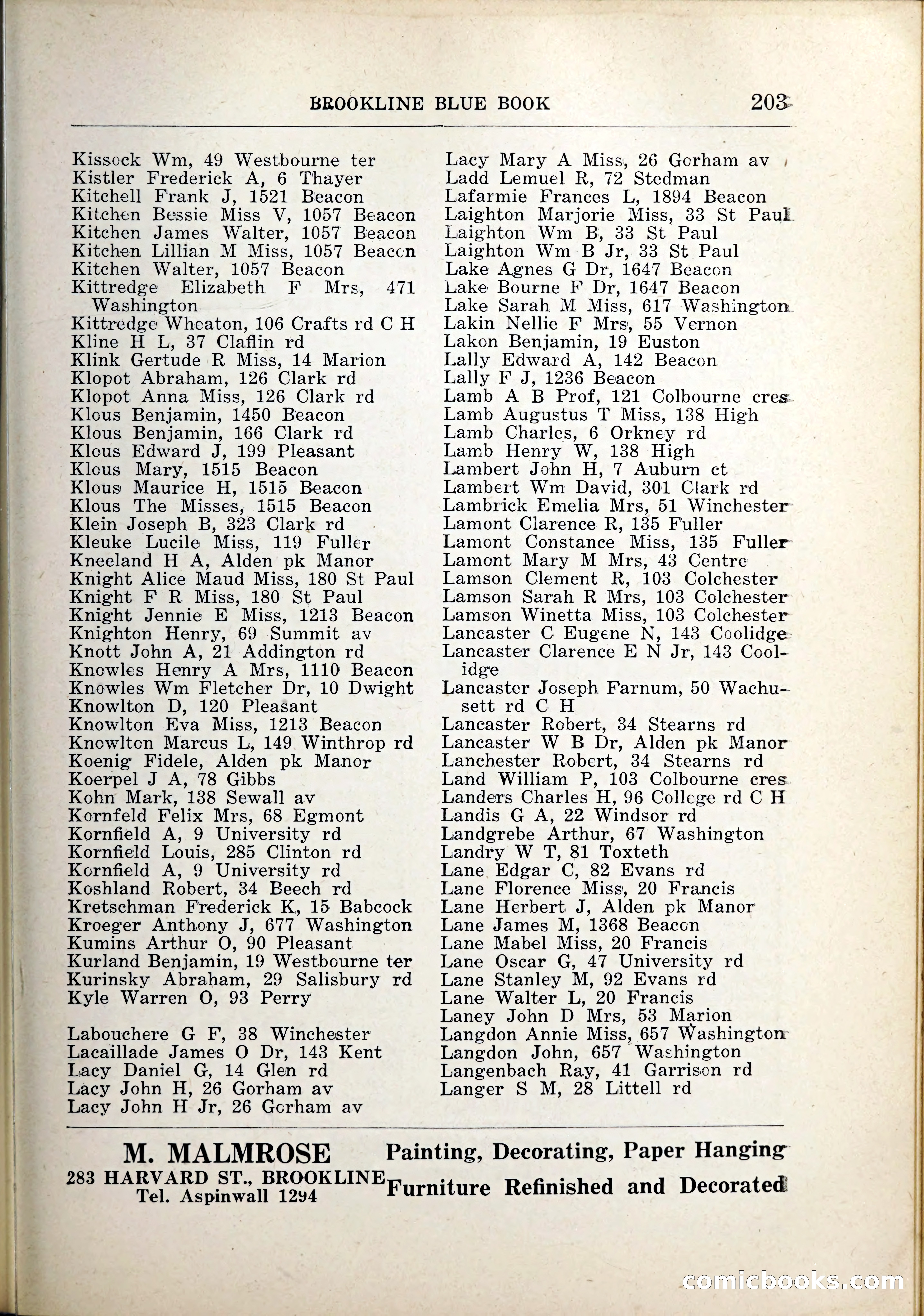 Blue Book of Brookline, 1926 — page 238 of 327