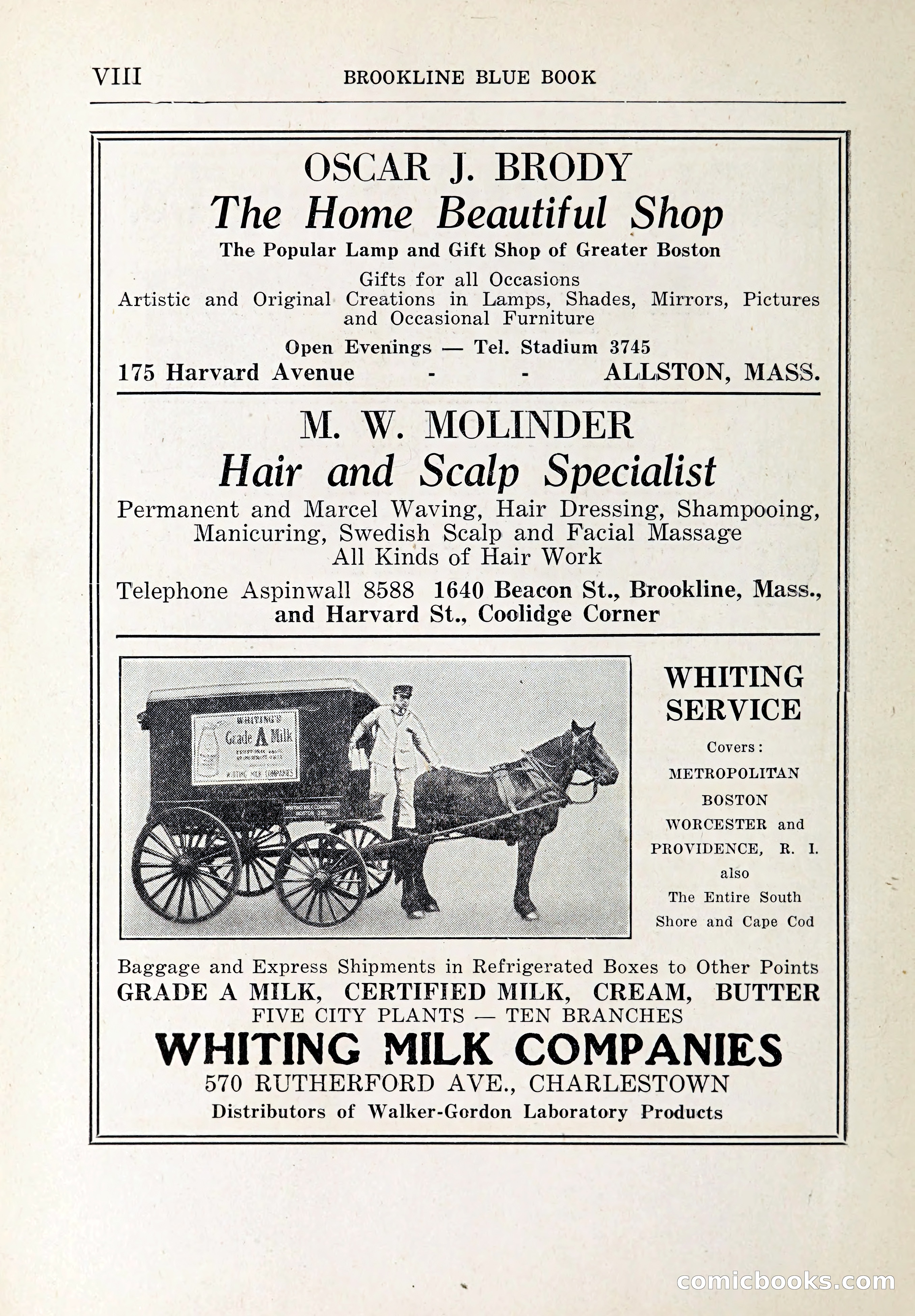 Blue Book of Brookline and Longwood — page 9 of 347