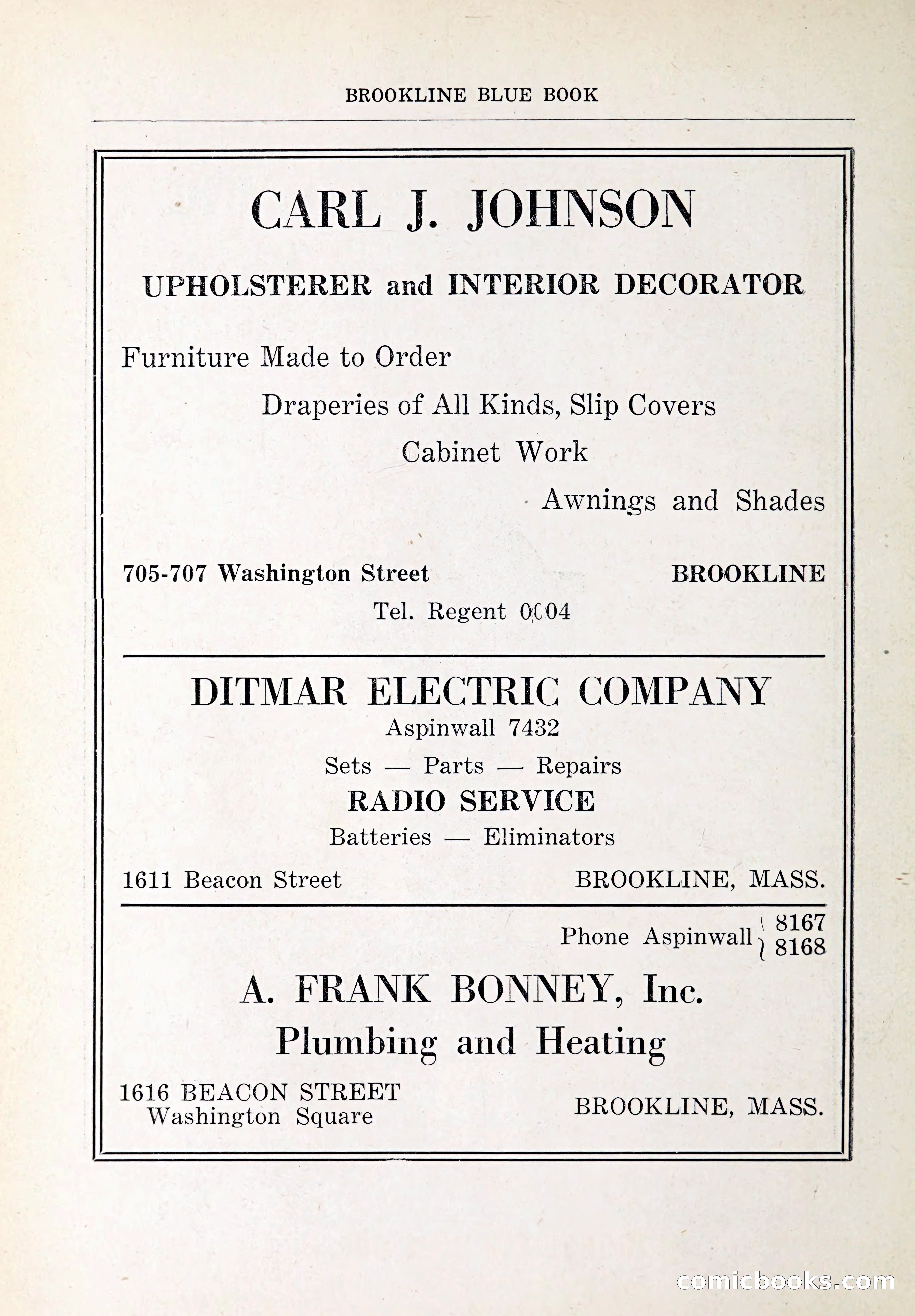 Blue Book of Brookline and Longwood — page 29 of 347