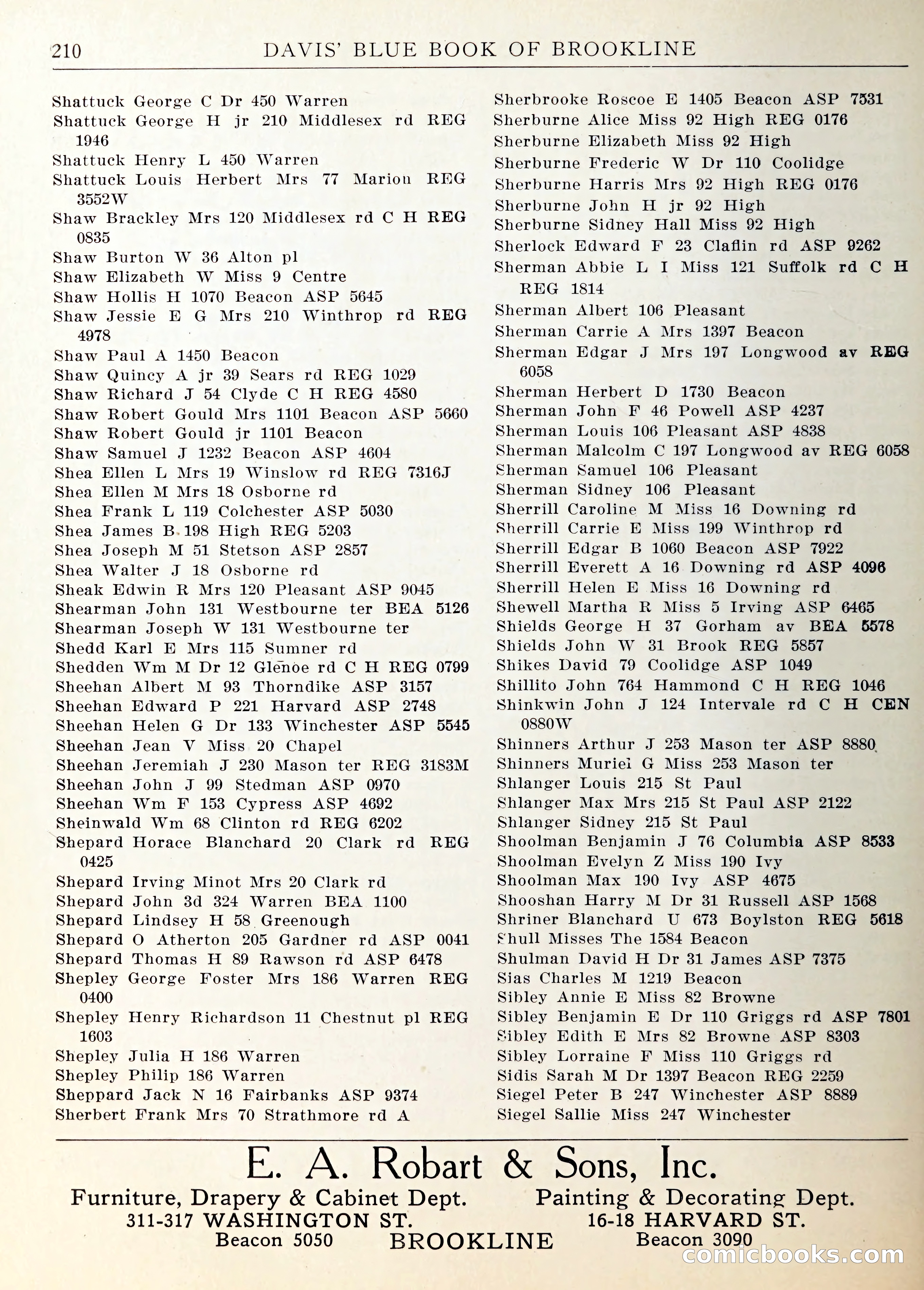 Davis' Blue Book of Brookline — page 213 of 253