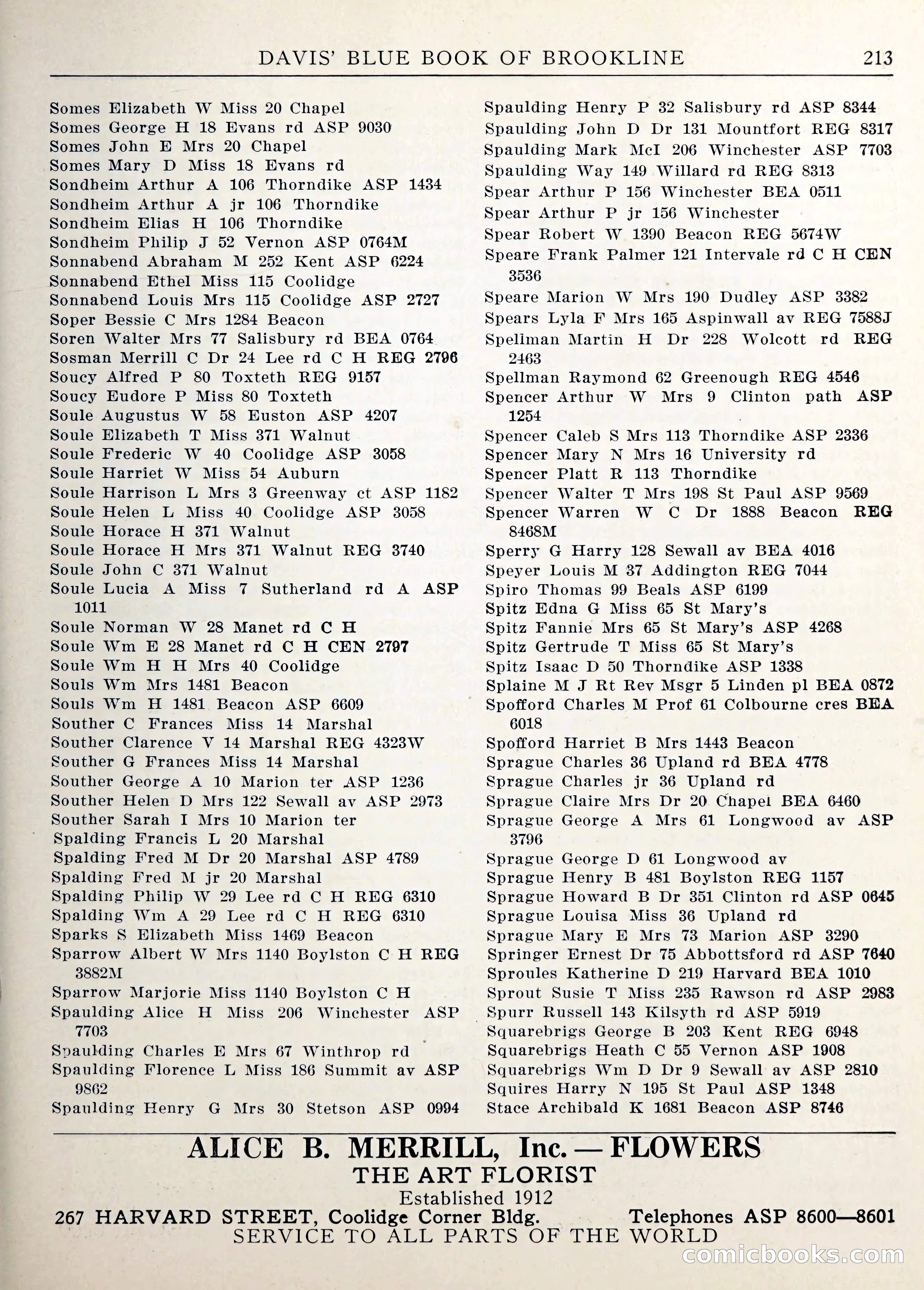 Davis' Blue Book of Brookline — page 216 of 253