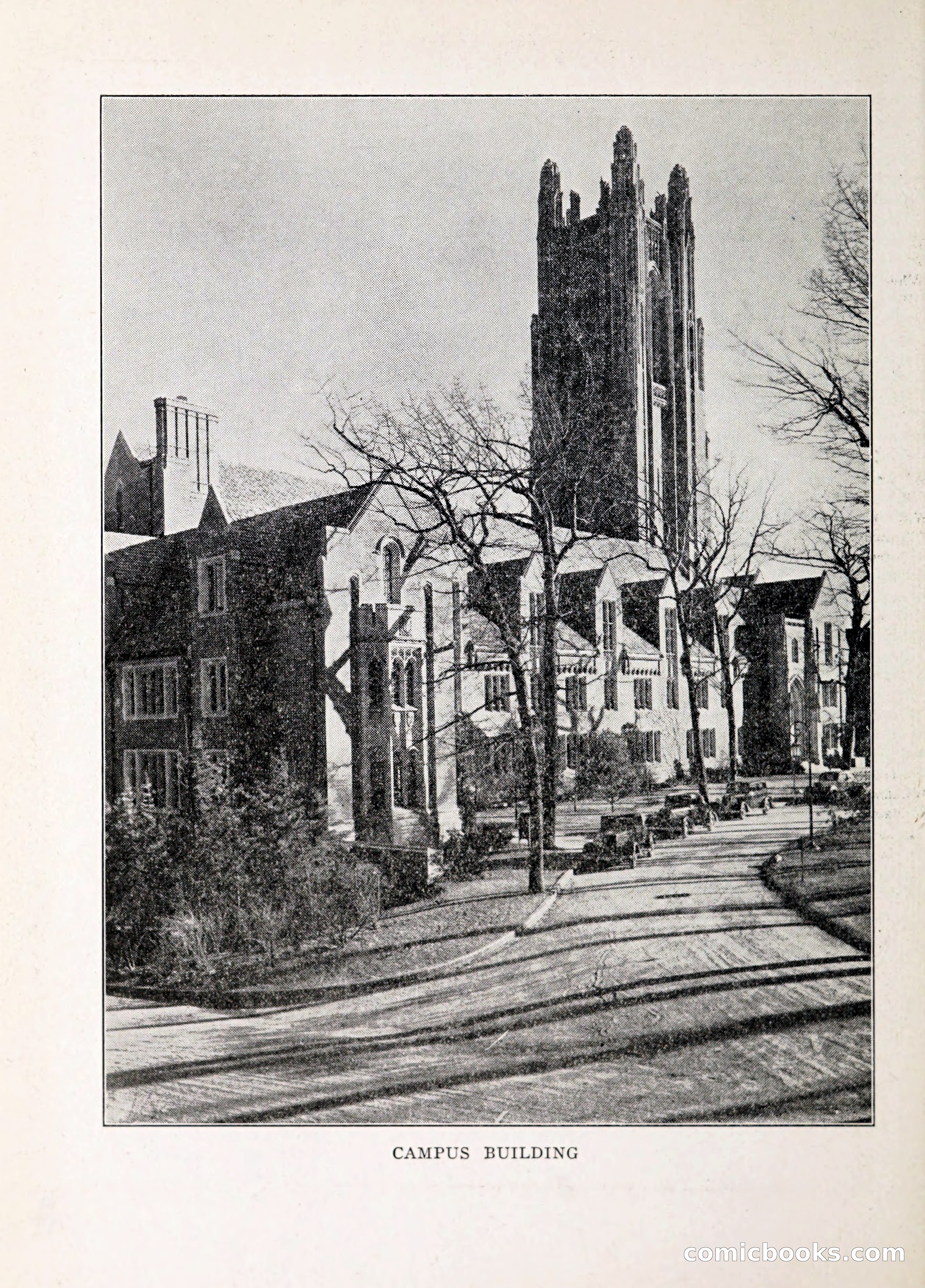 Davis' Blue Book of Brookline: Wellesley and Weston — page 217 of 246
