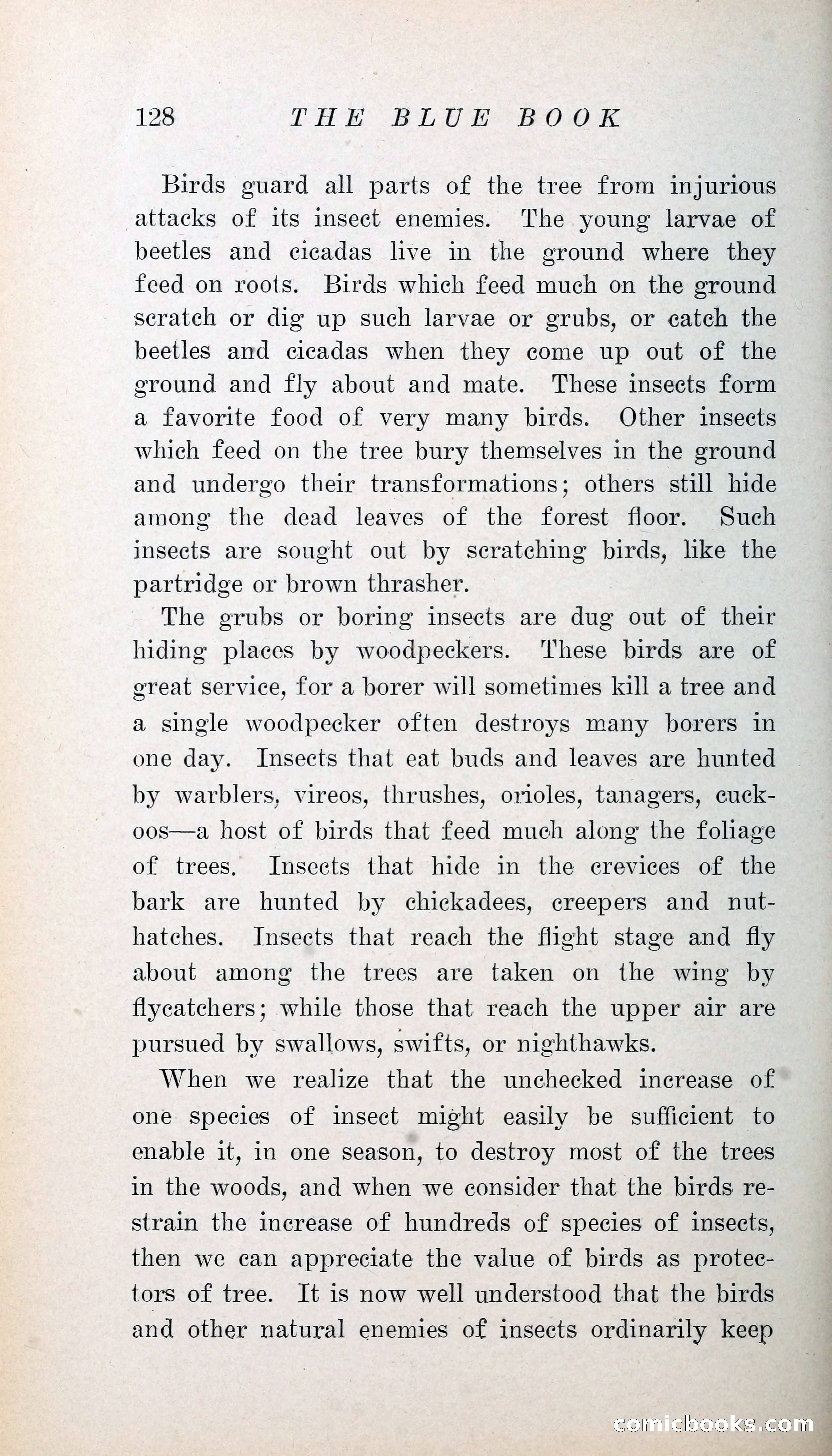 The Blue Book of Stories by M. L. Brittain — page 133 of 161