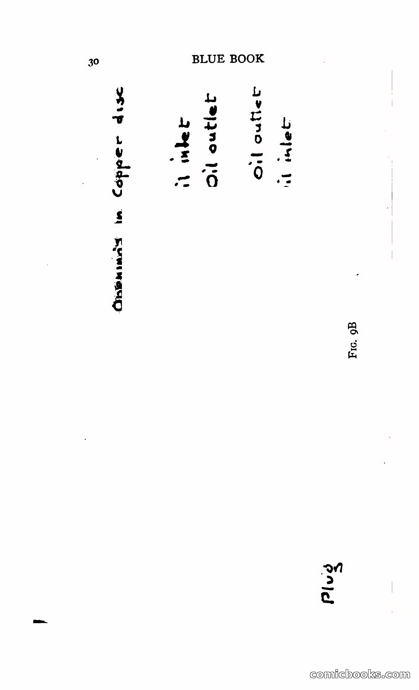 The Blue Book of Oil Burning and Burners — page 38 of 119