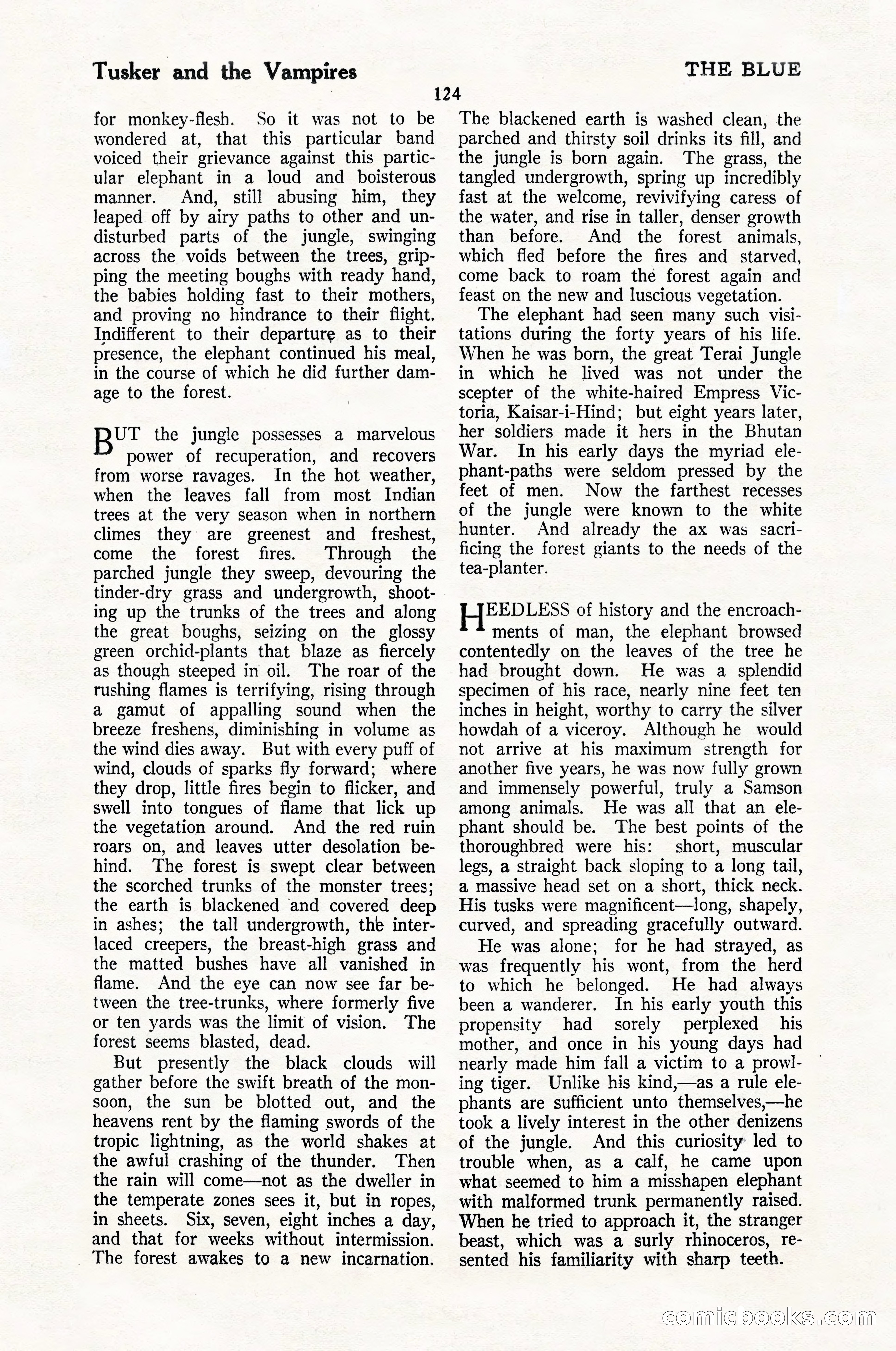The Blue Book Magazine, May 1924 — page 126 of 196