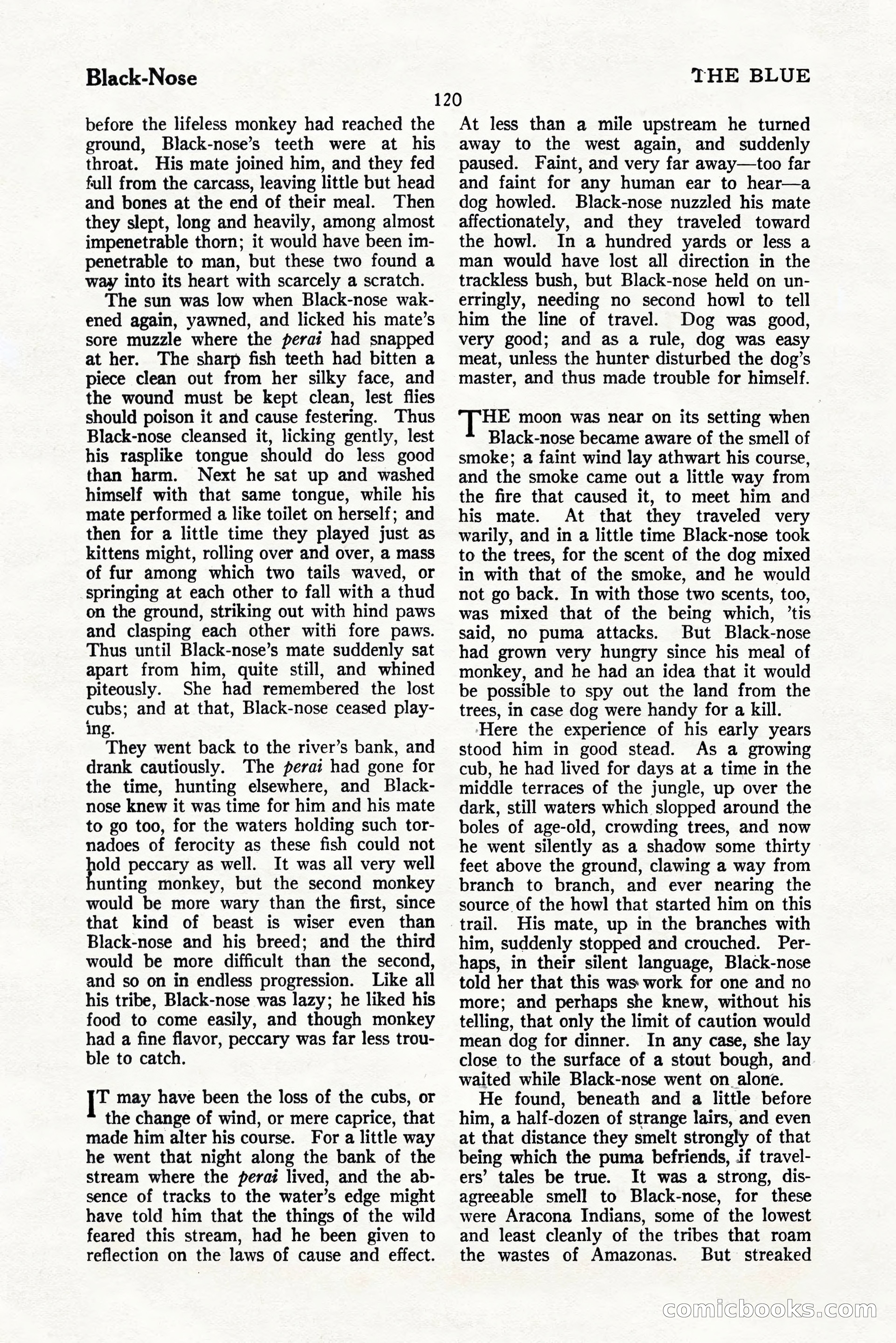 The Blue Book Magazine, November 1924 — page 126 of 212