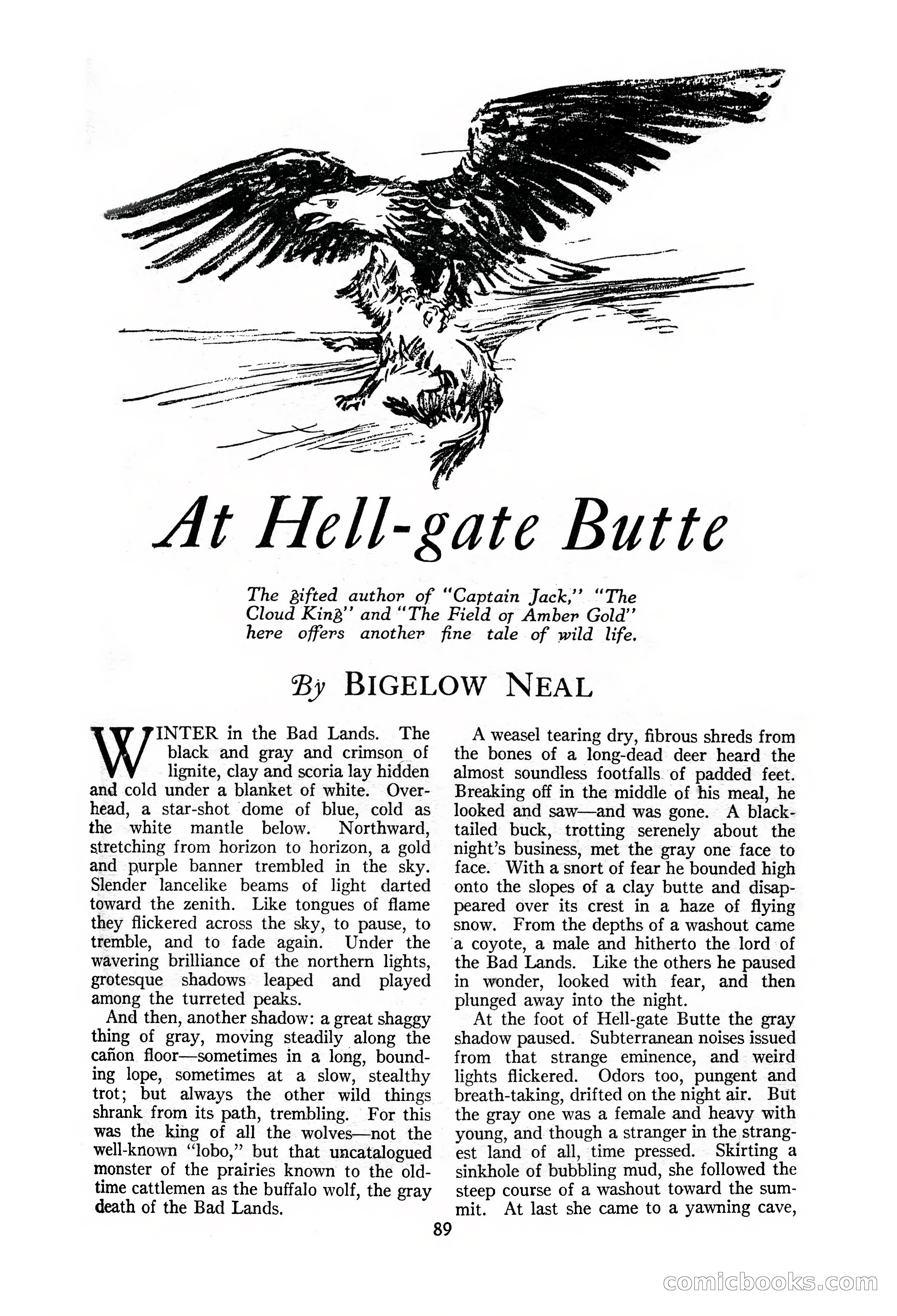 The Illustrated Blue Book Magazine, November 1926 — page 91 of 208
