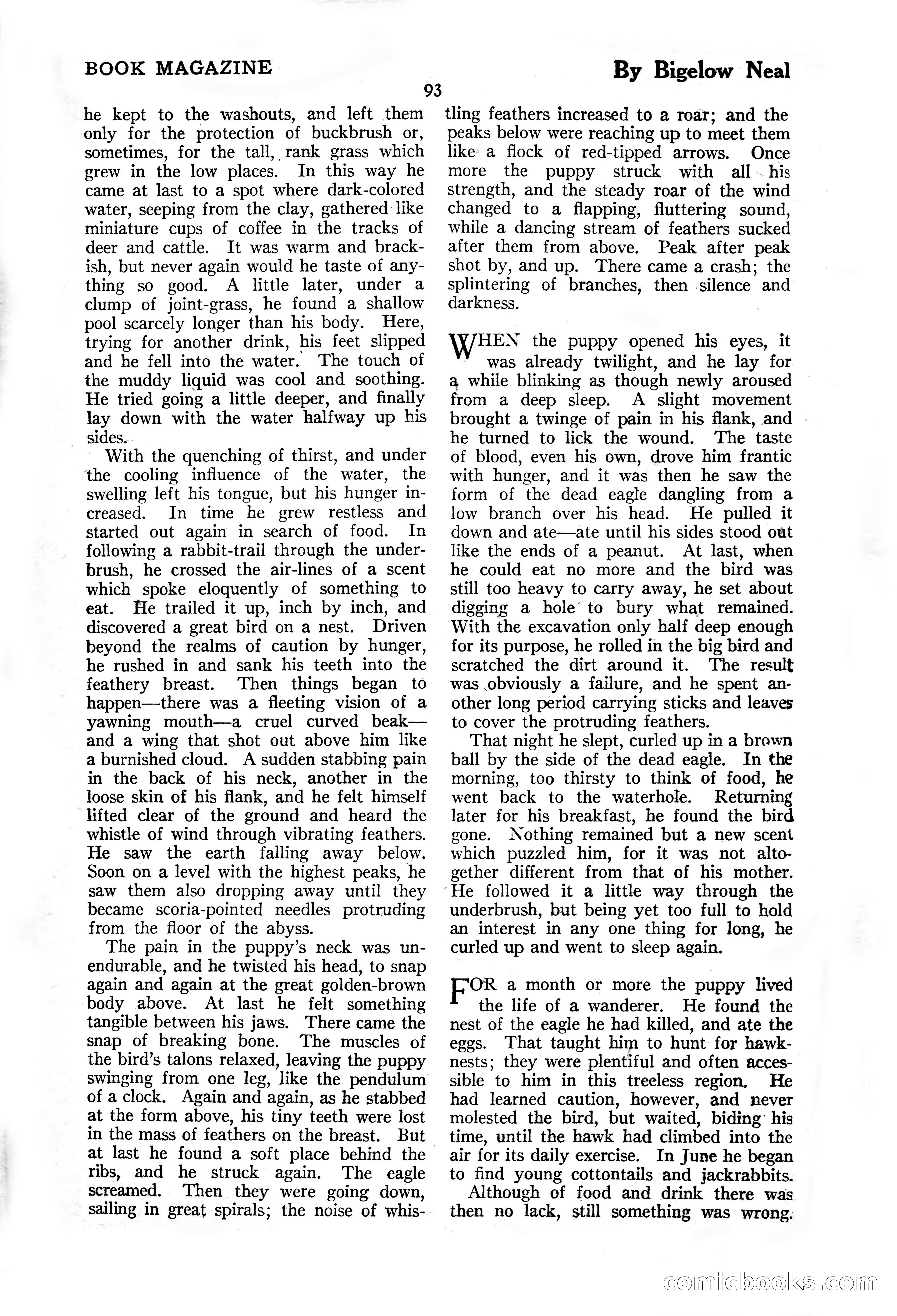 The Illustrated Blue Book Magazine, November 1926 — page 95 of 208