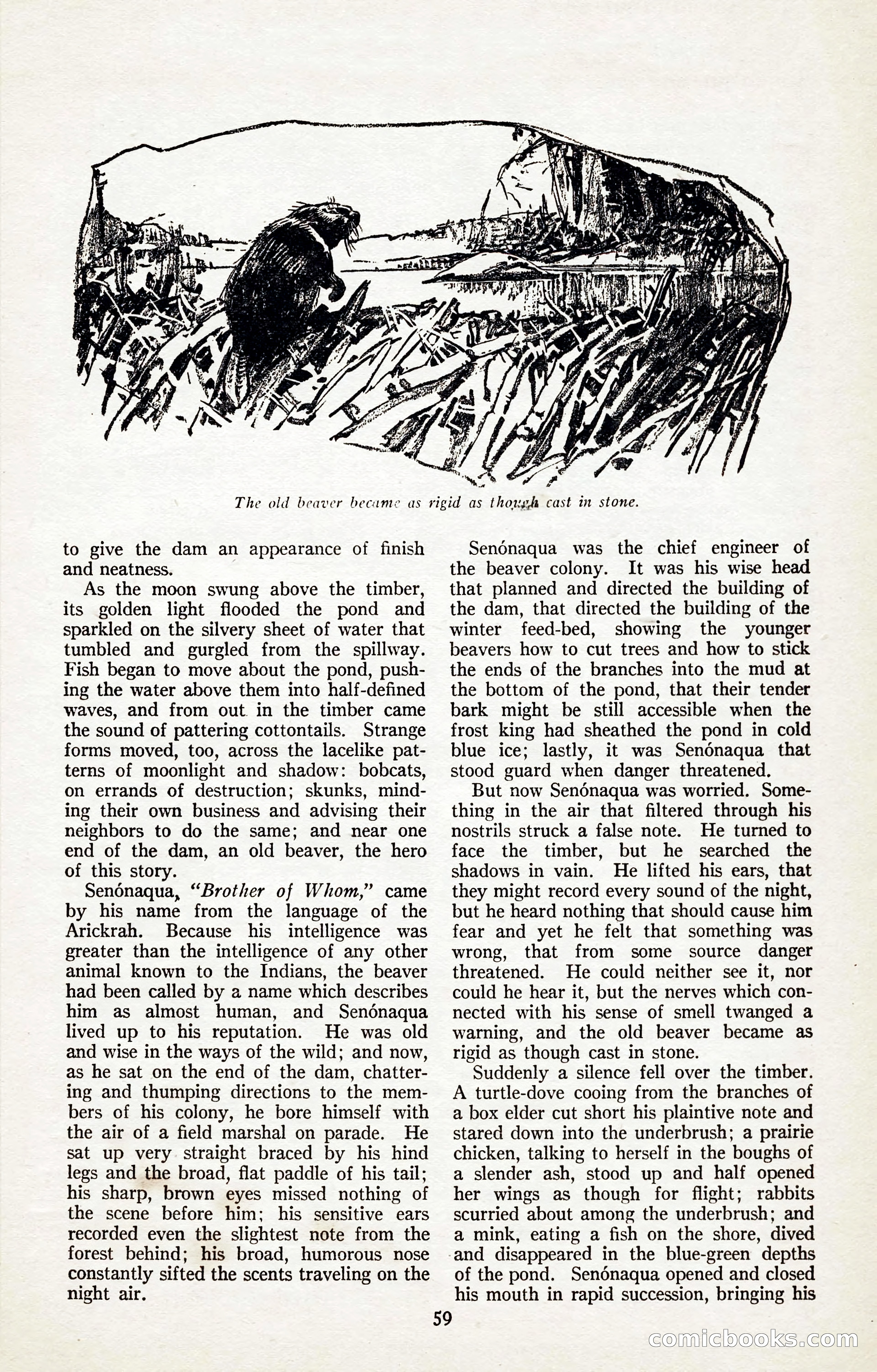 The Illustrated Blue Book Magazine, January 1927 — page 61 of 208