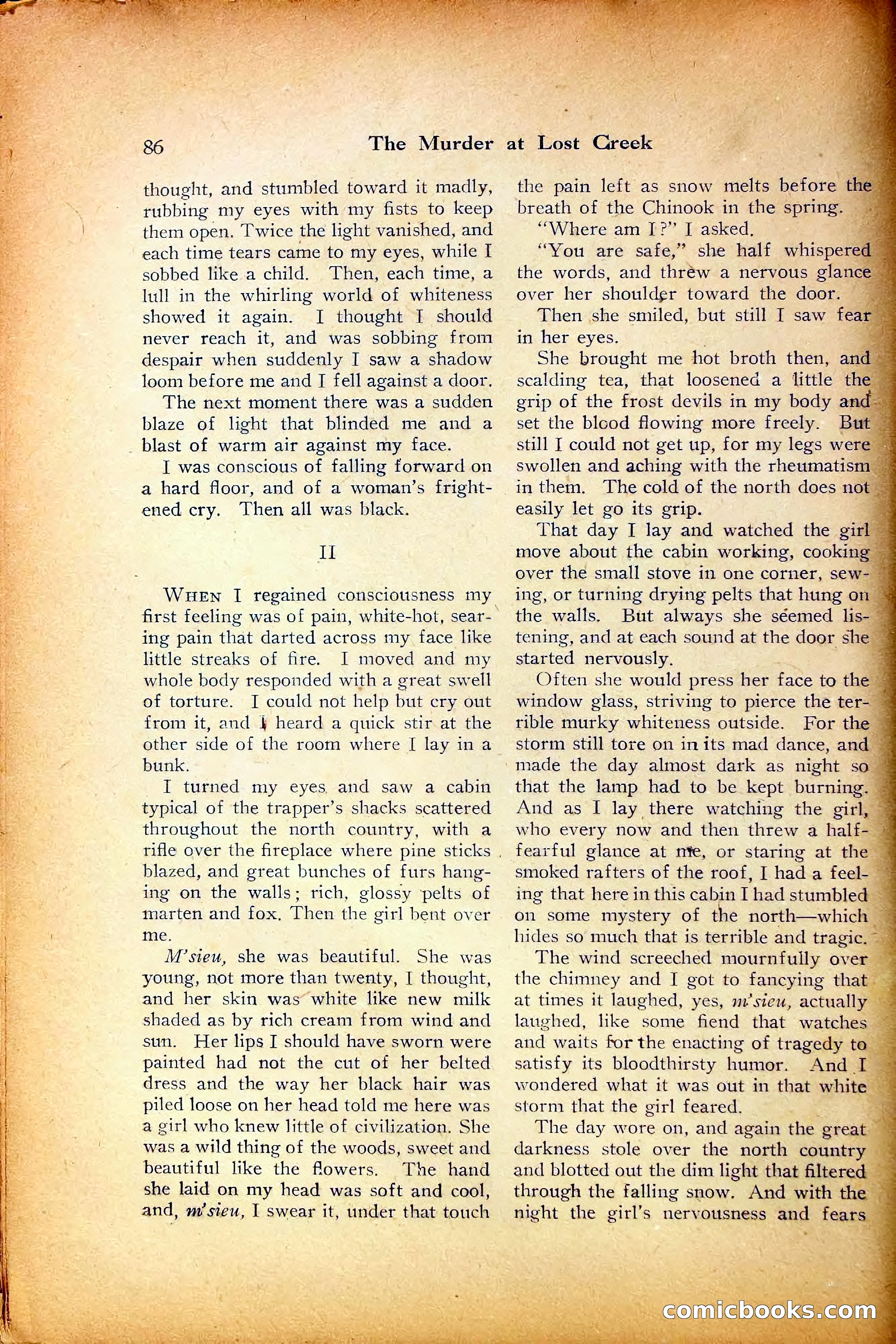 The Black Mask — page 88 of 136