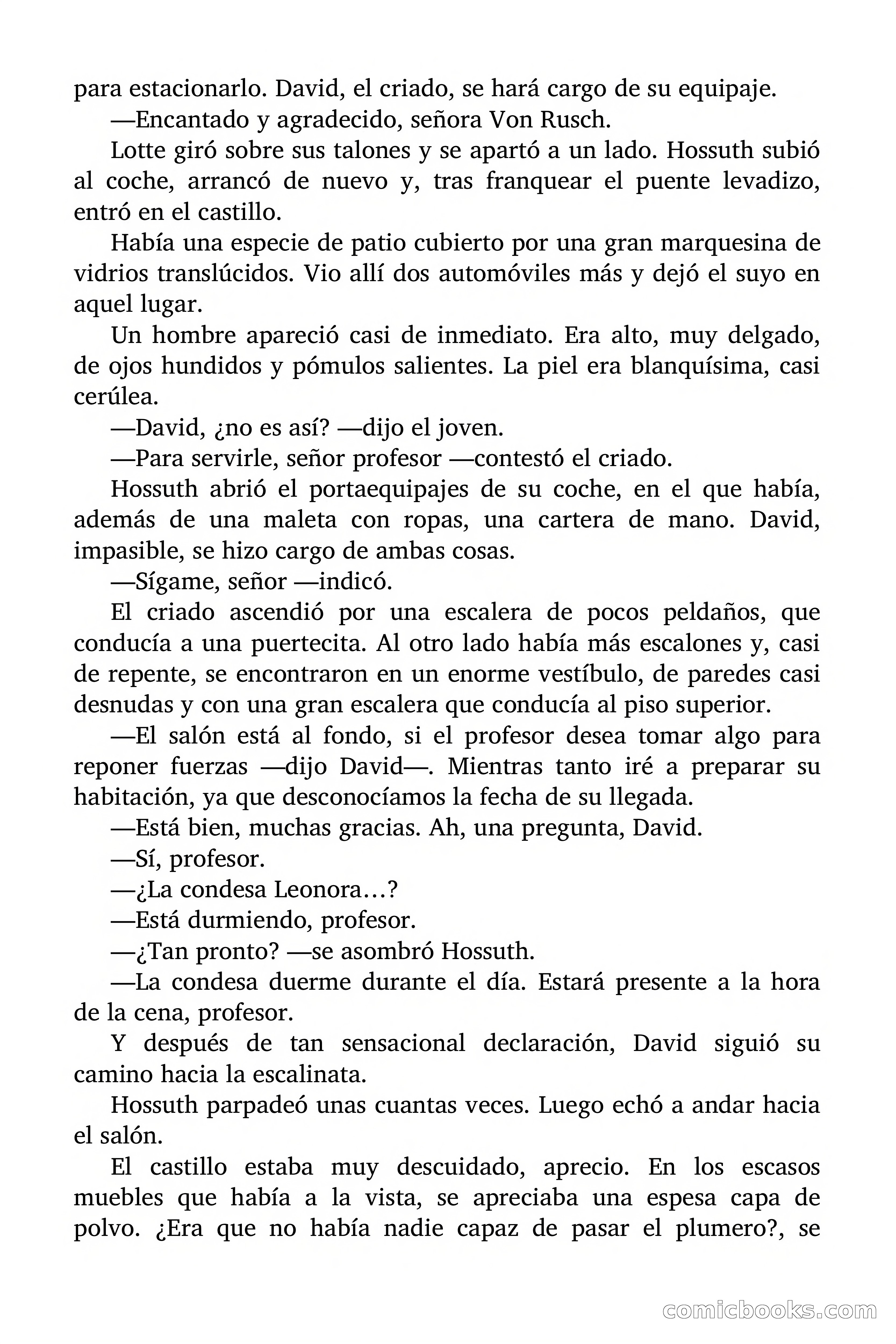 El escudo del diablo — page 21 of 93