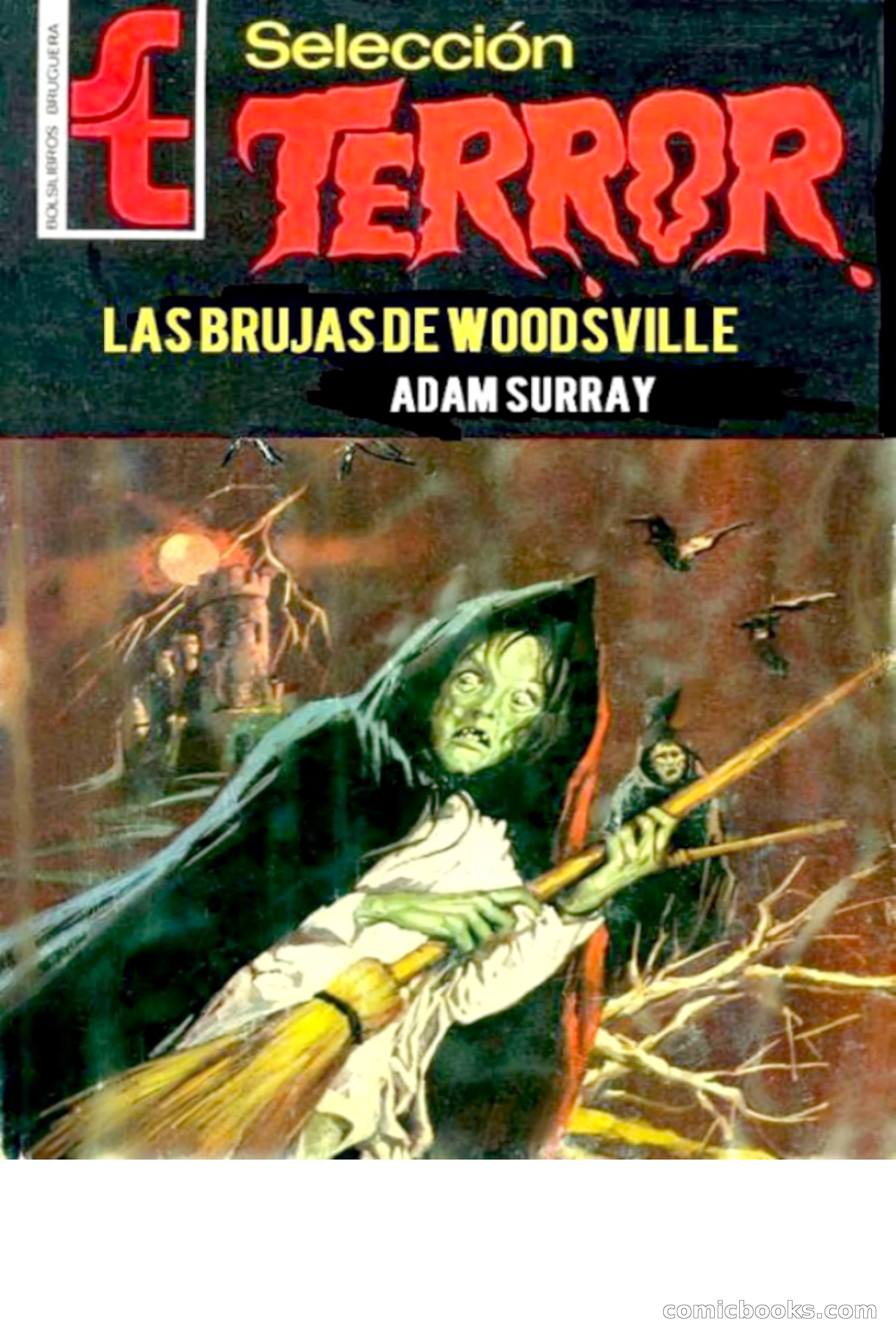 Selección Terror: Las brujas de Woodsville