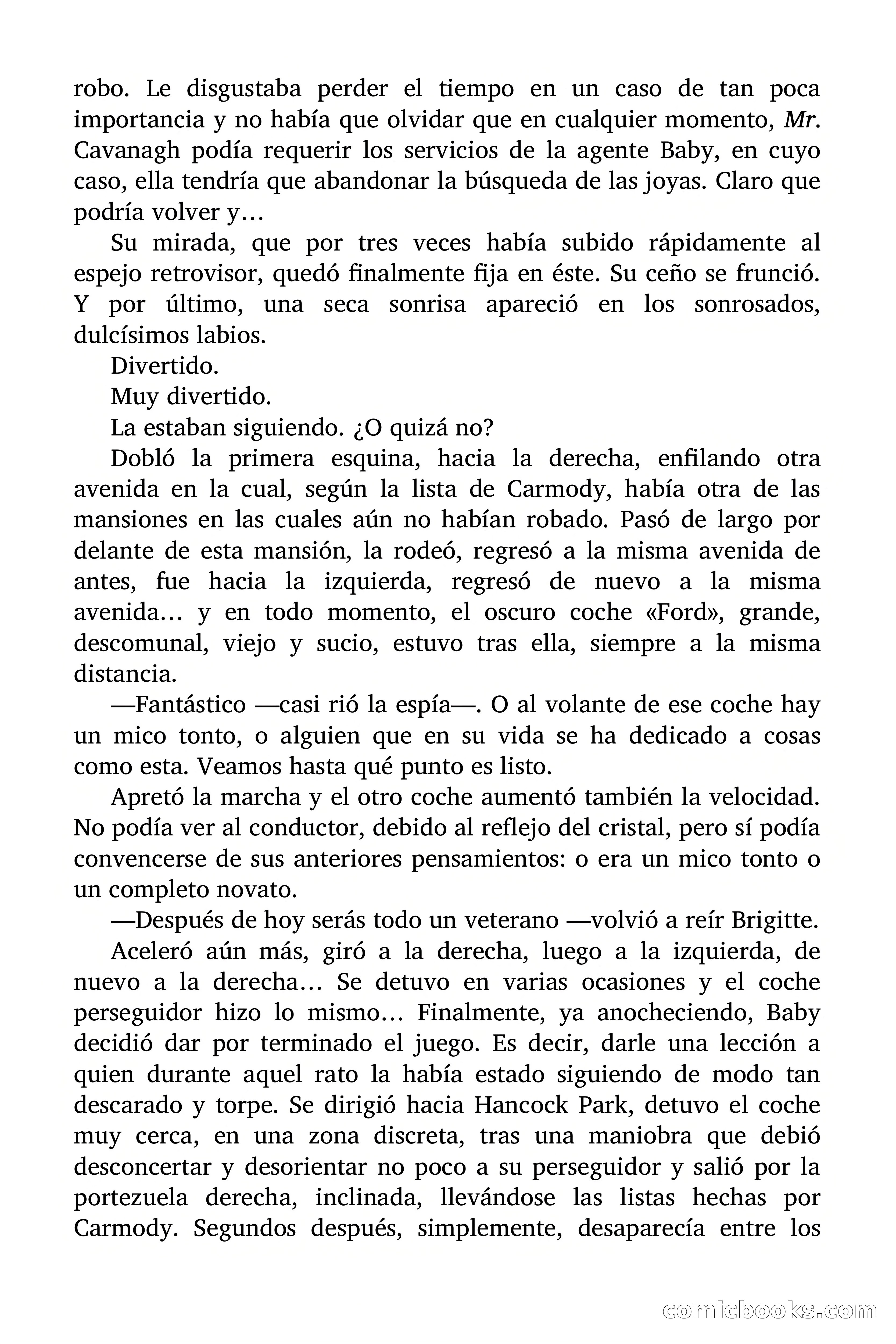 Brigitte en Acción: La gata ladrona — page 25 of 94