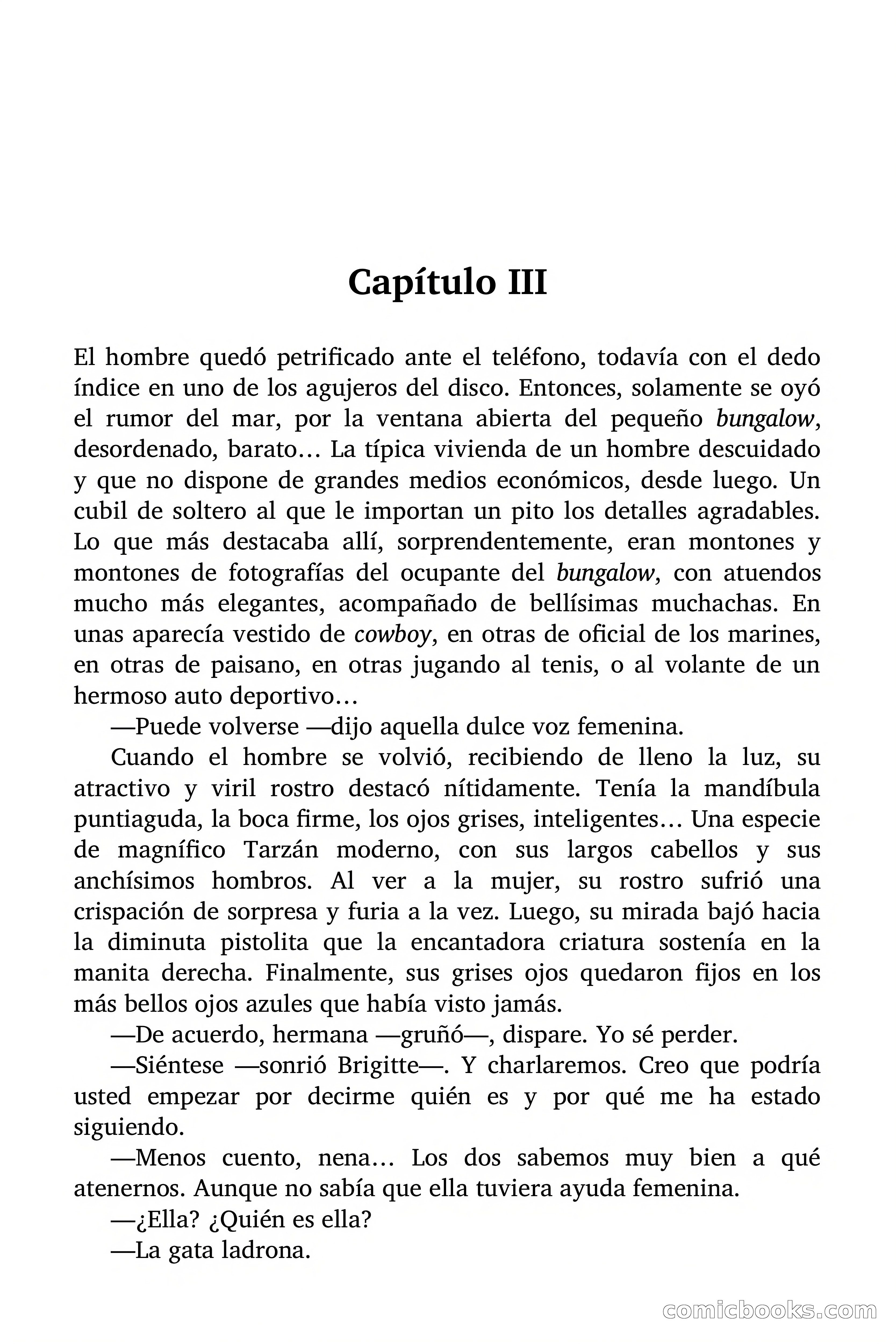 Brigitte en Acción: La gata ladrona — page 27 of 94