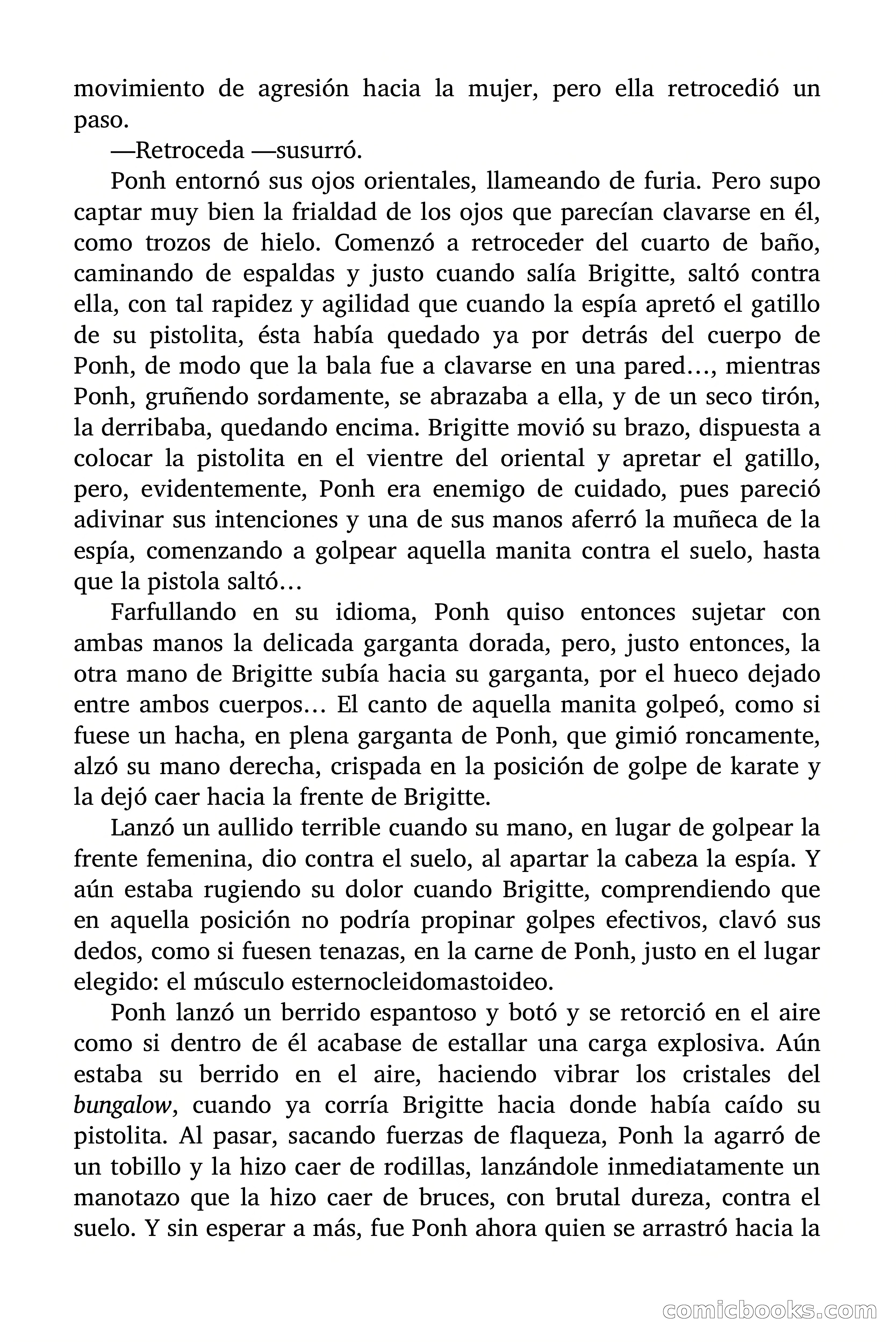 Brigitte en Acción: La gata ladrona — page 31 of 94
