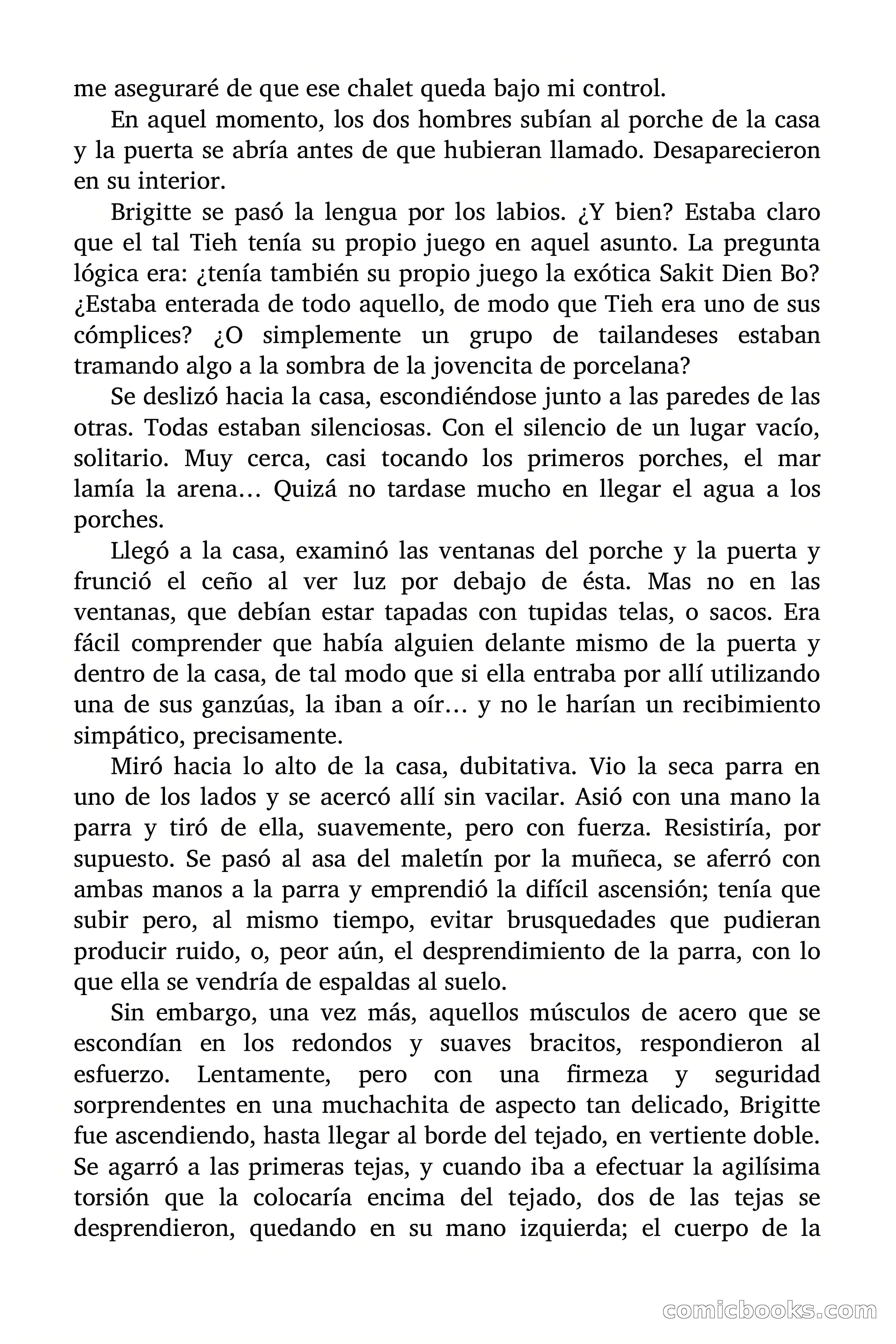 Brigitte en Acción: La gata ladrona — page 65 of 94