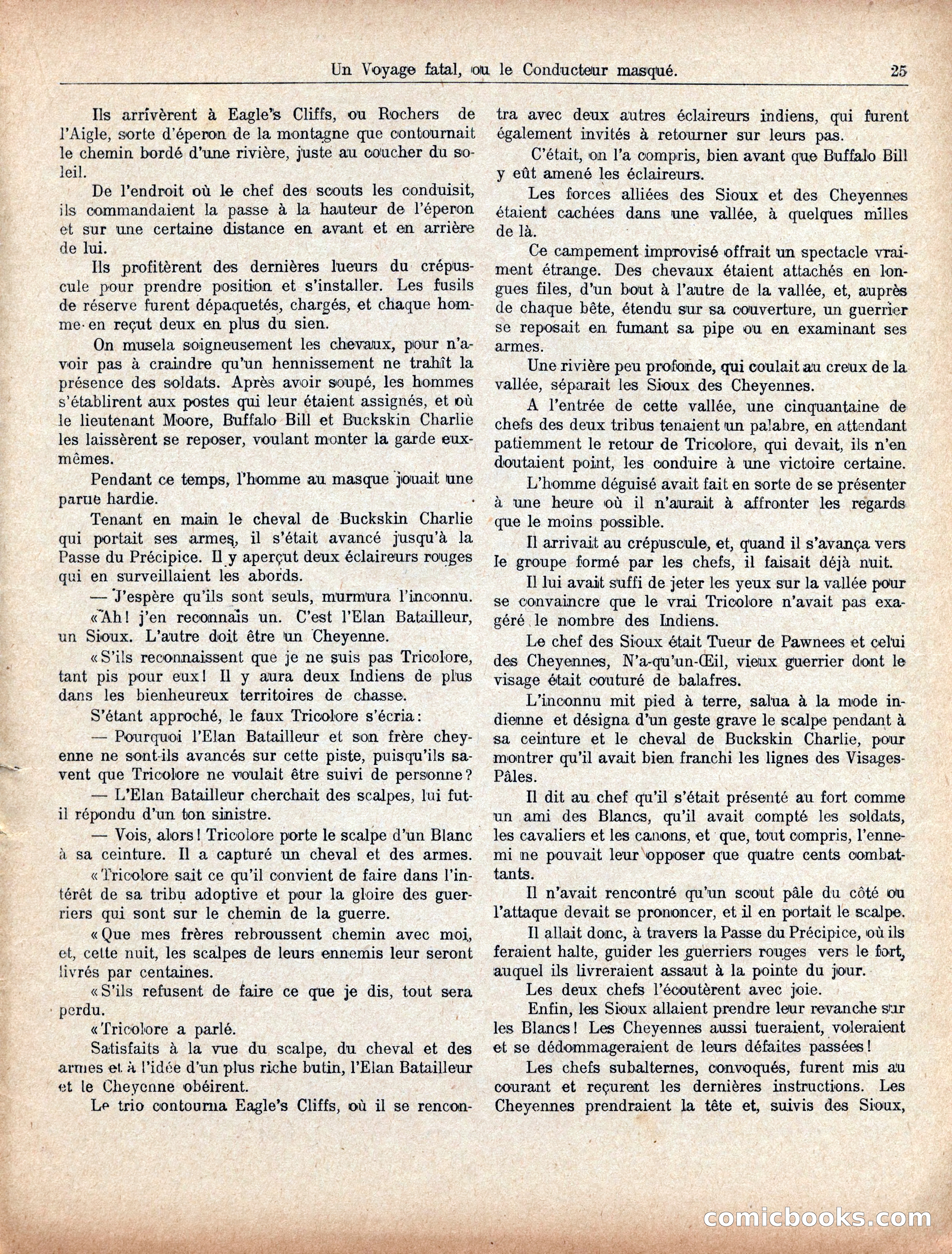 Buffalo Bill and the Masked Driver — page 29 of 40