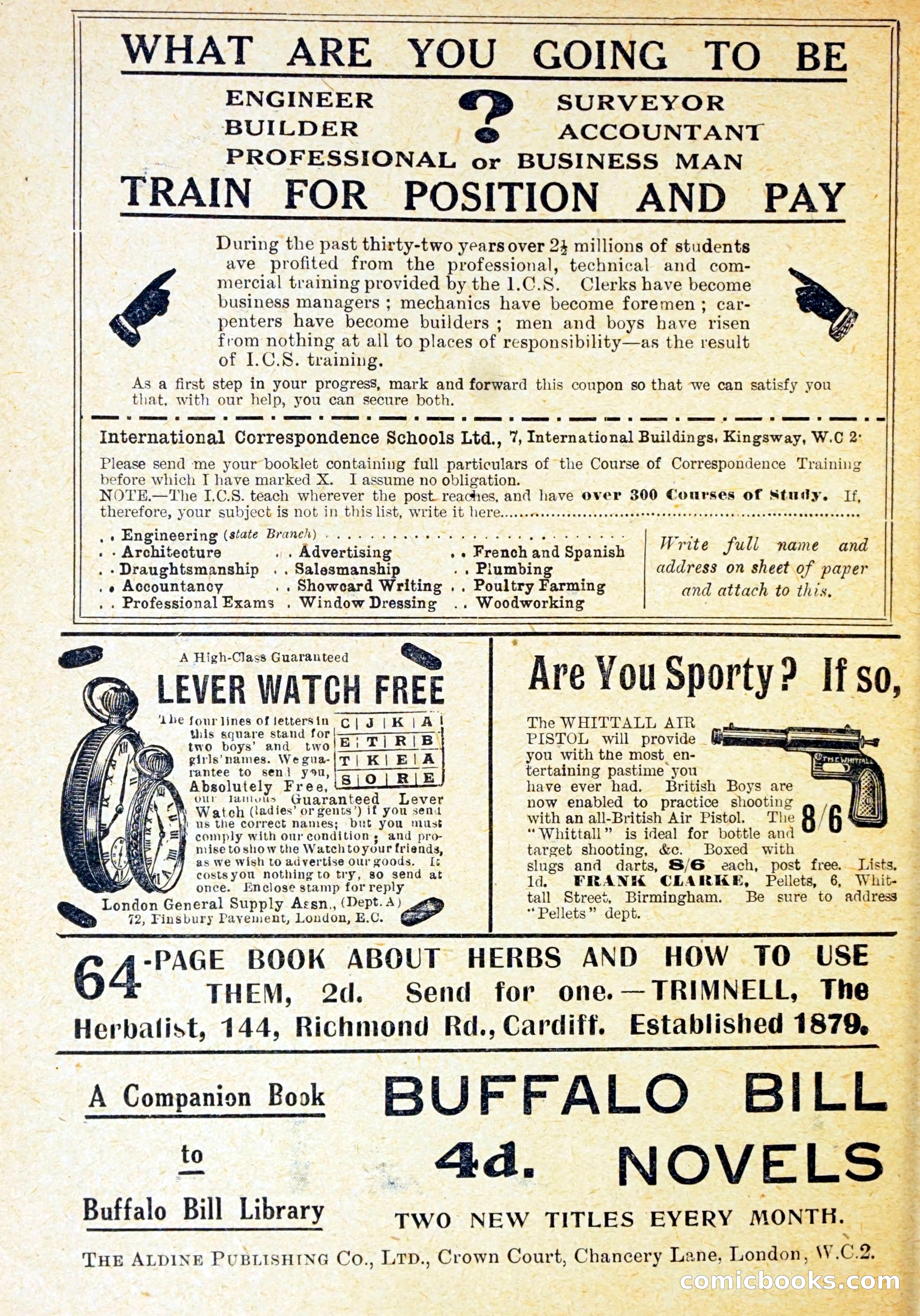 Buffalo Bill in Silver City — page 3 of 29