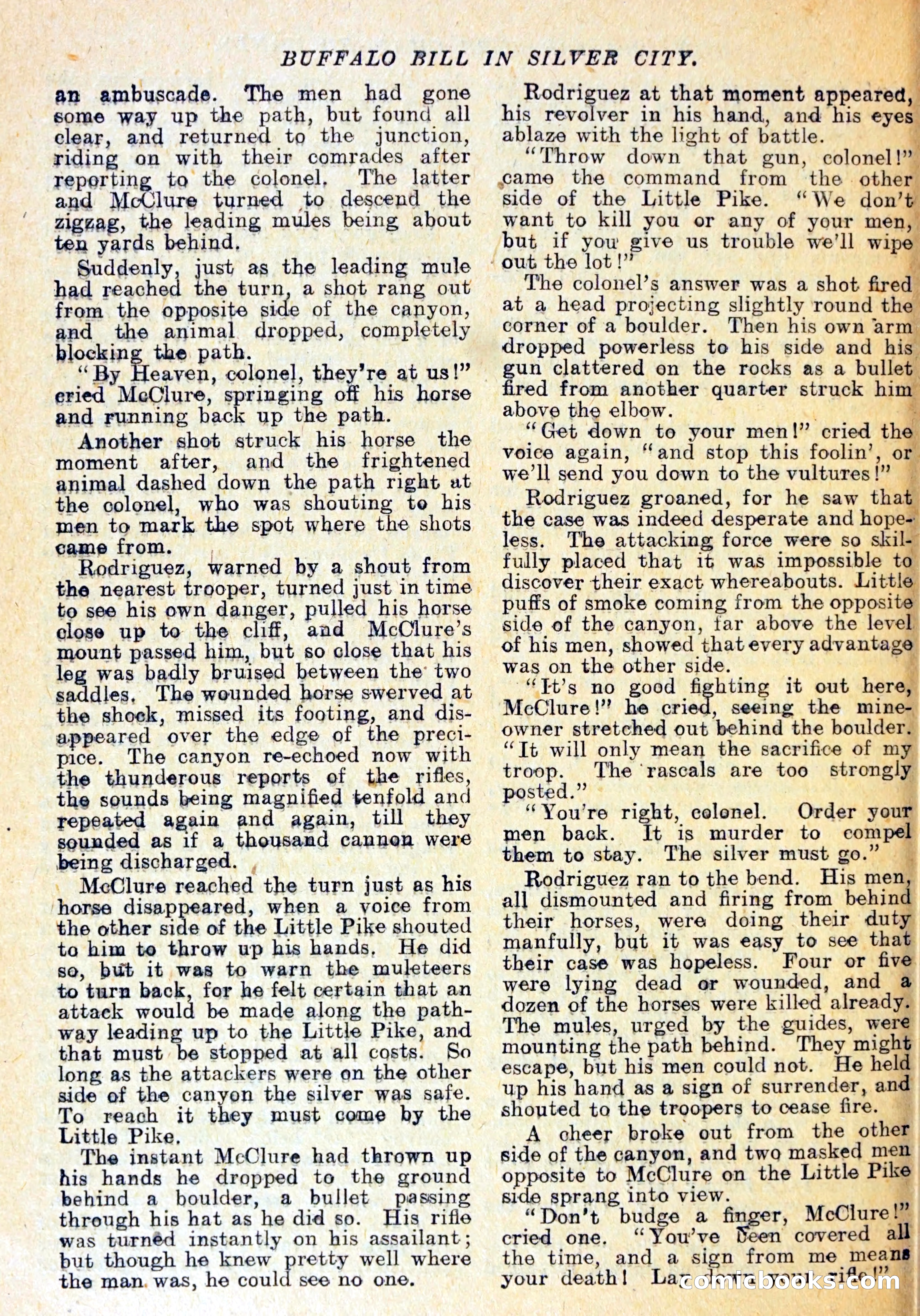 Buffalo Bill in Silver City — page 9 of 29