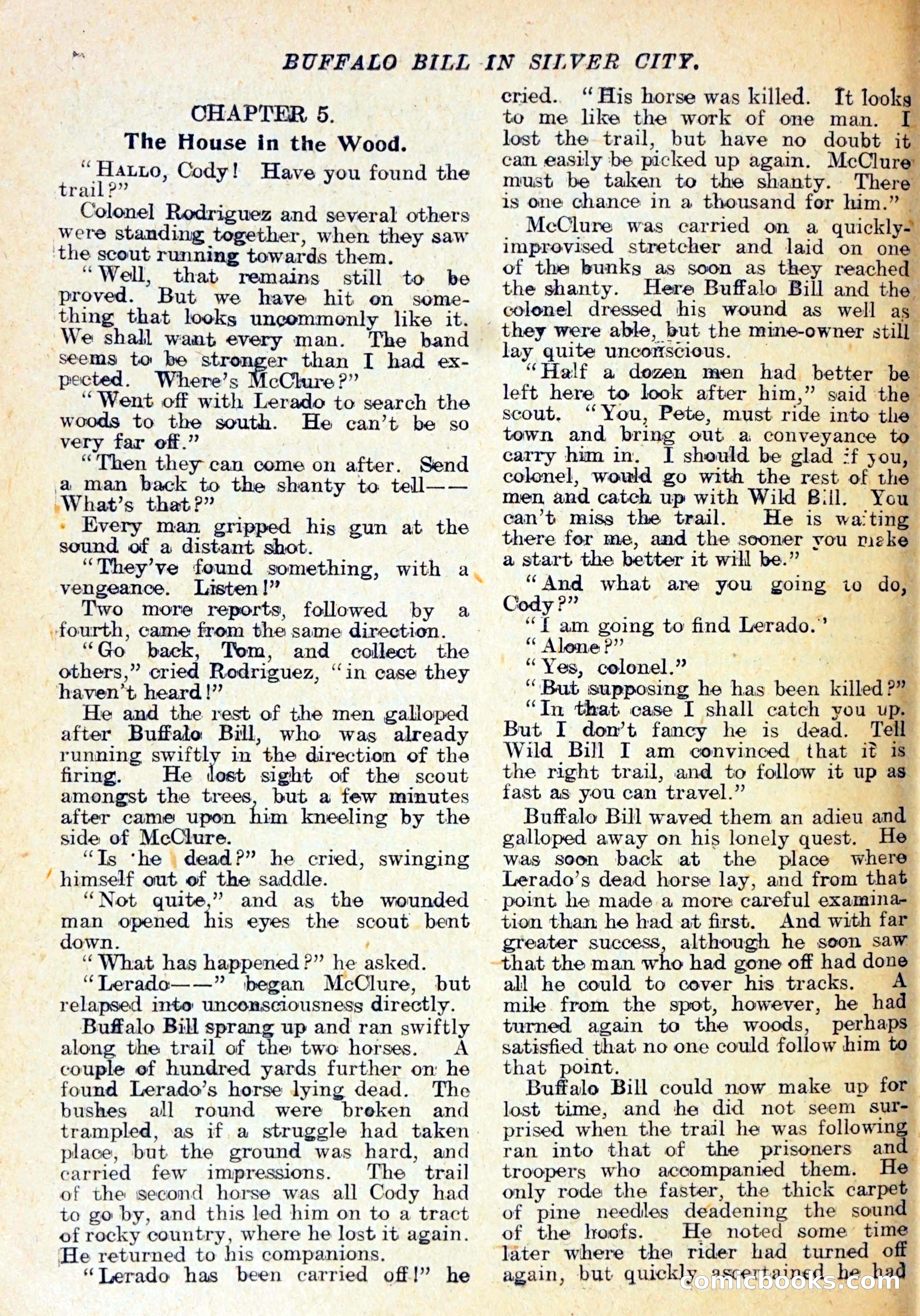 Buffalo Bill in Silver City — page 19 of 29