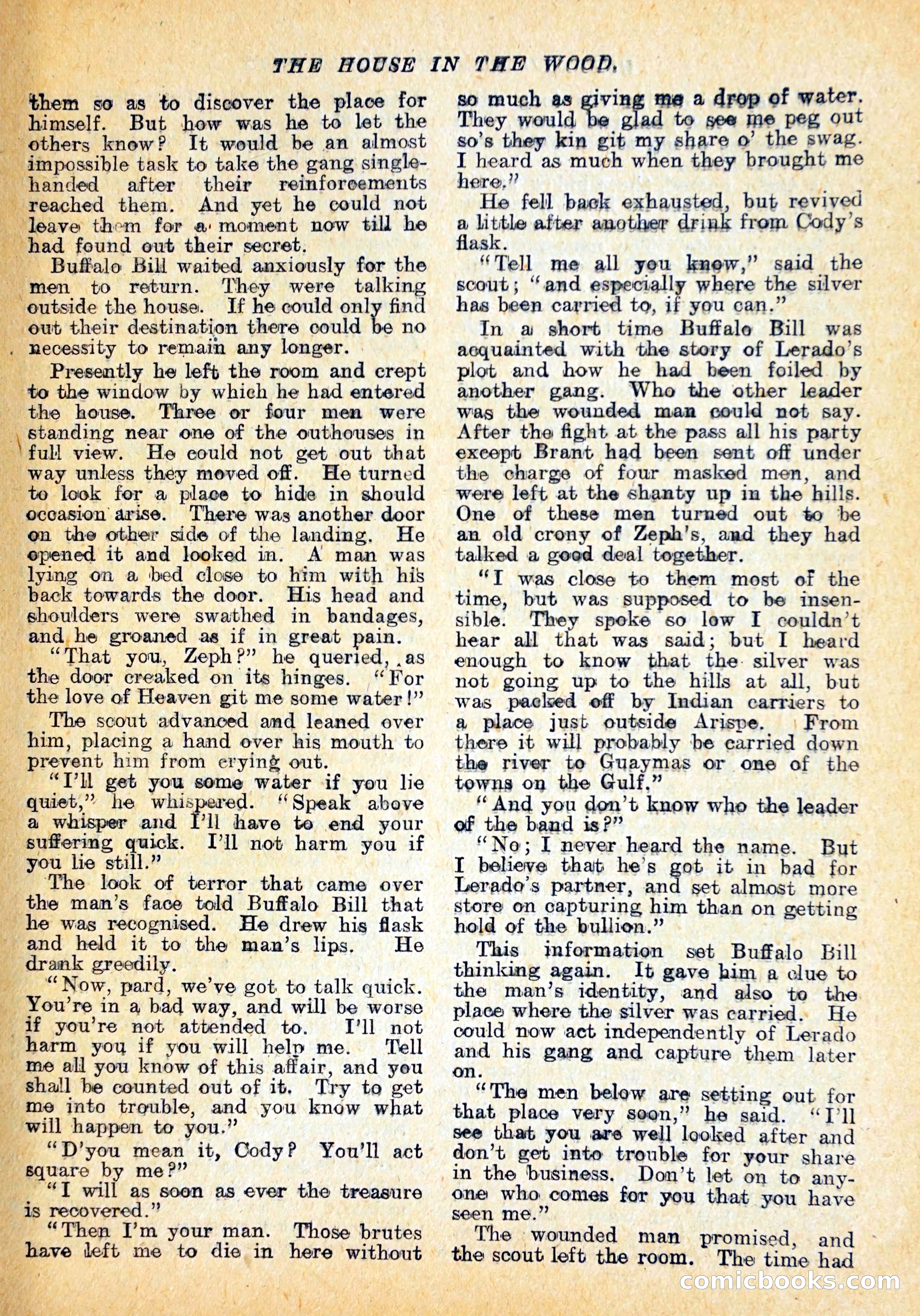 Buffalo Bill in Silver City — page 22 of 29