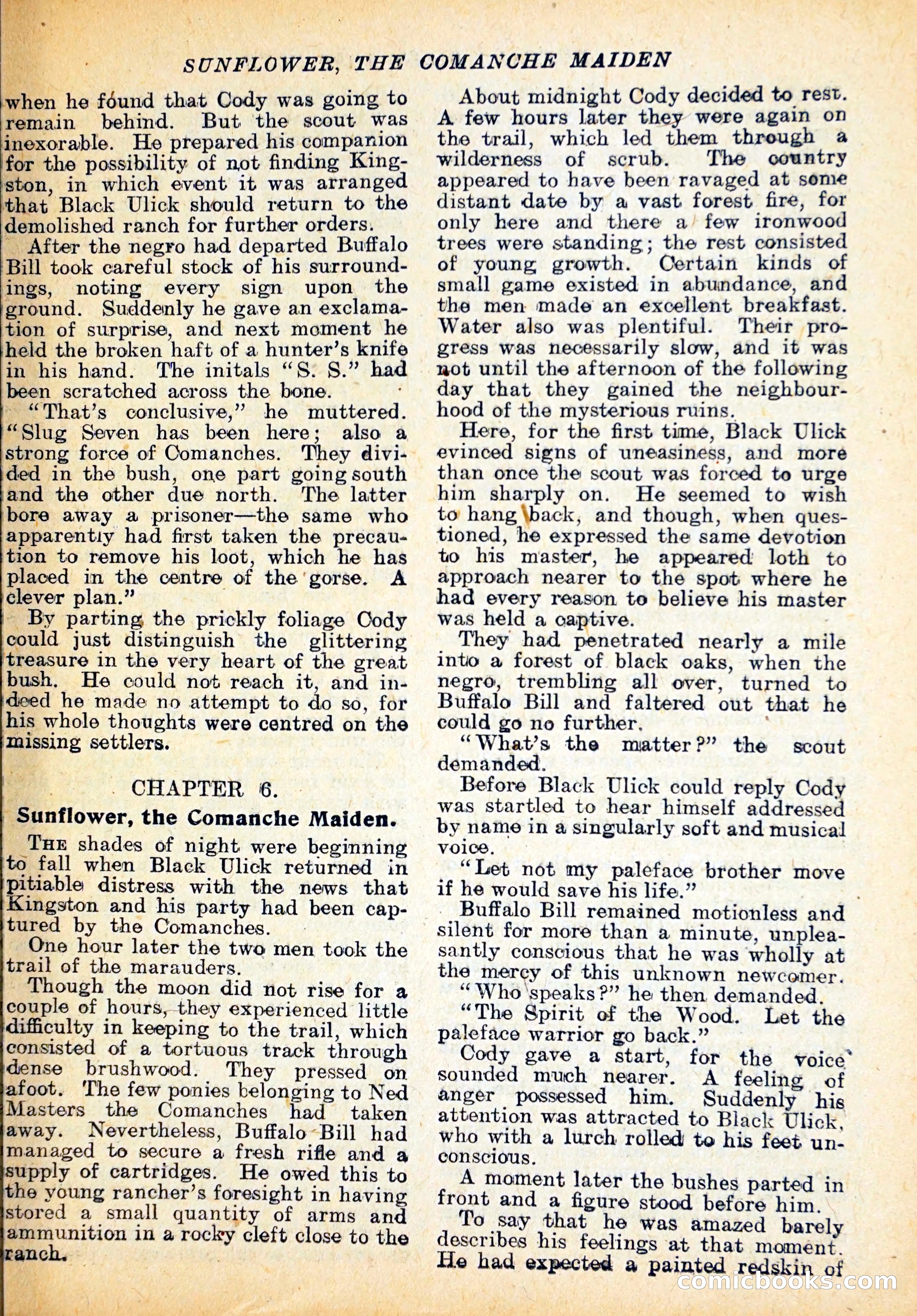Buffalo Bill's Lost Clue — page 18 of 29