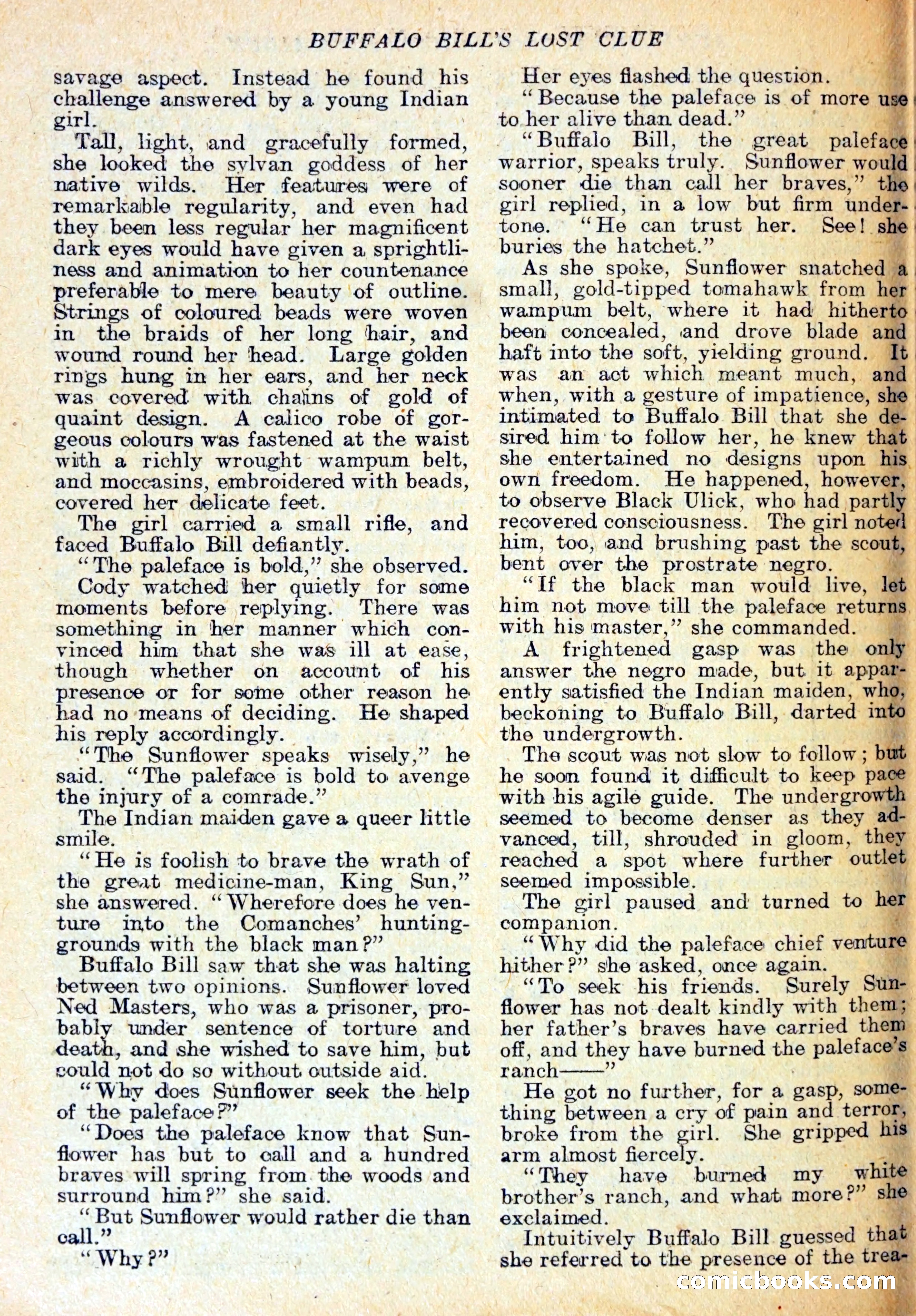 Buffalo Bill's Lost Clue — page 19 of 29
