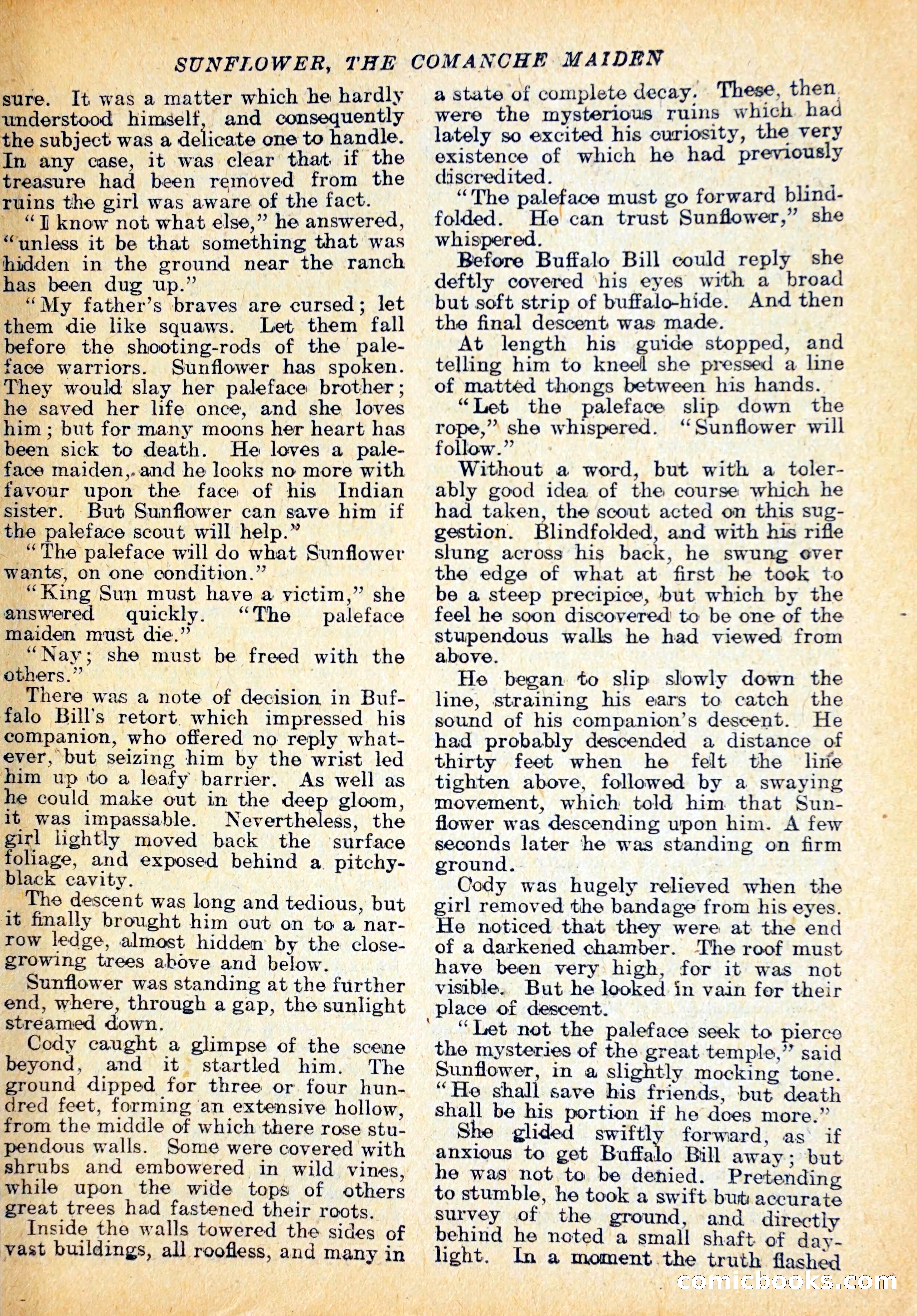 Buffalo Bill's Lost Clue — page 20 of 29