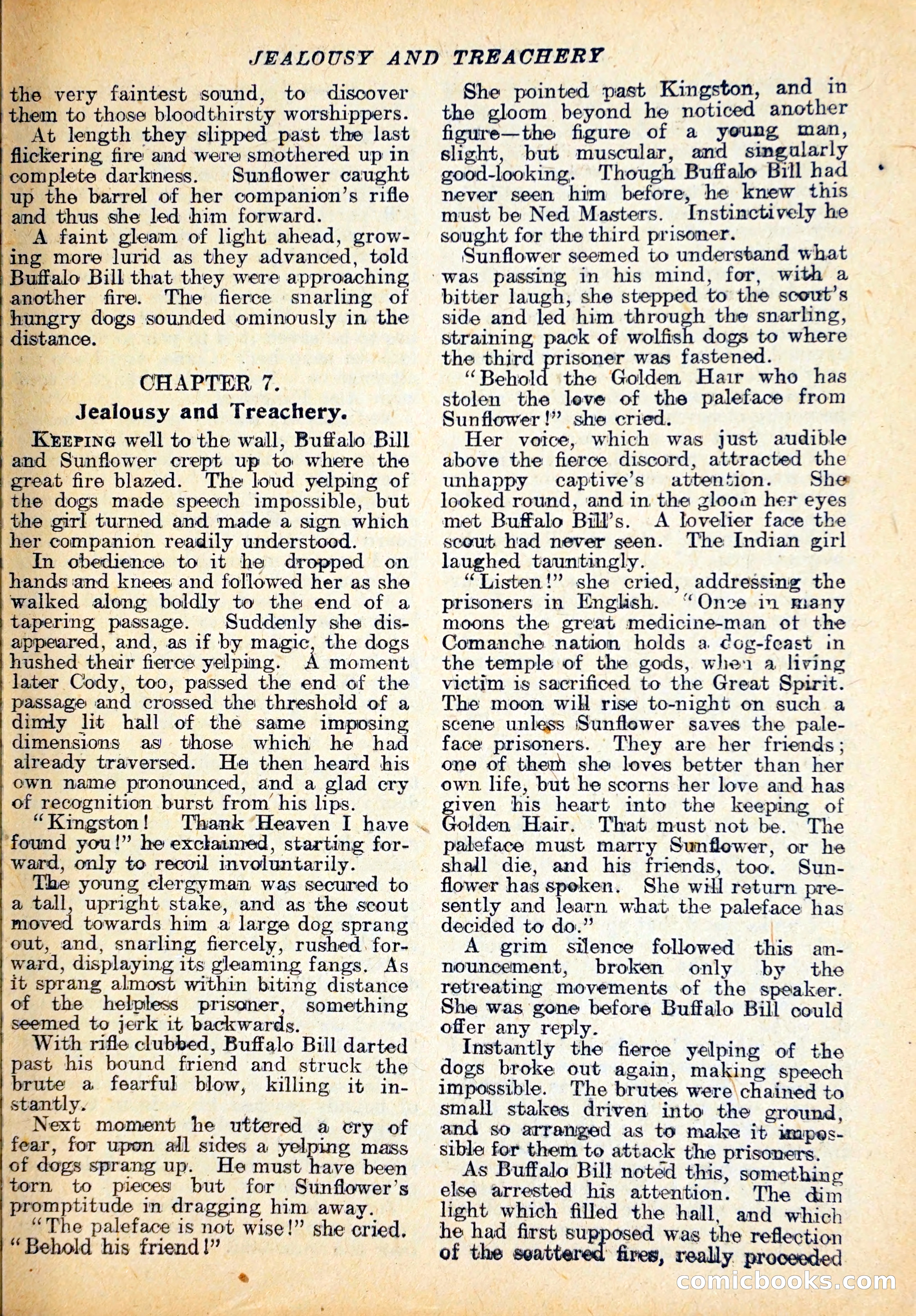 Buffalo Bill's Lost Clue — page 22 of 29