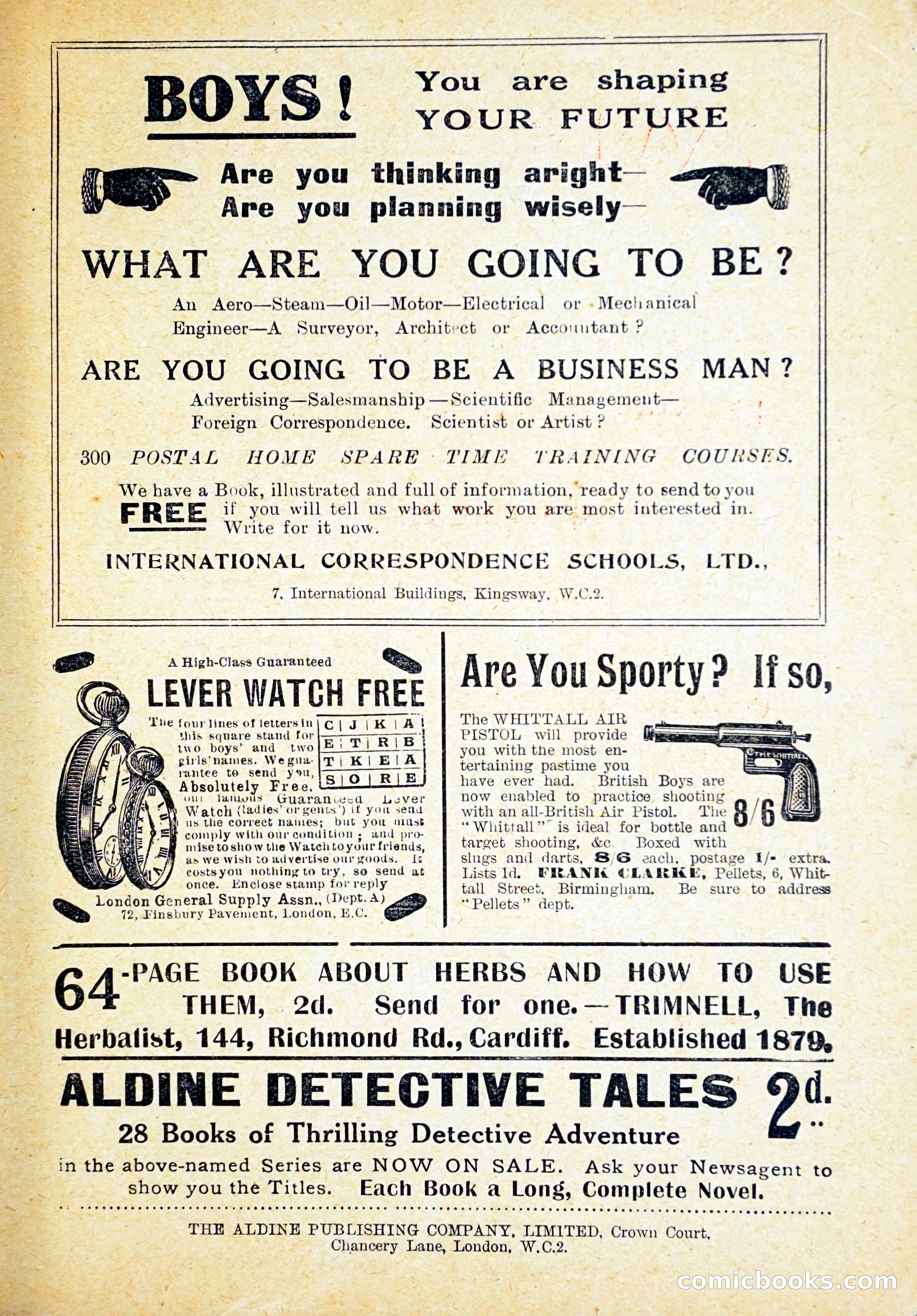 Buffalo Bill's Lost Clue — page 28 of 29