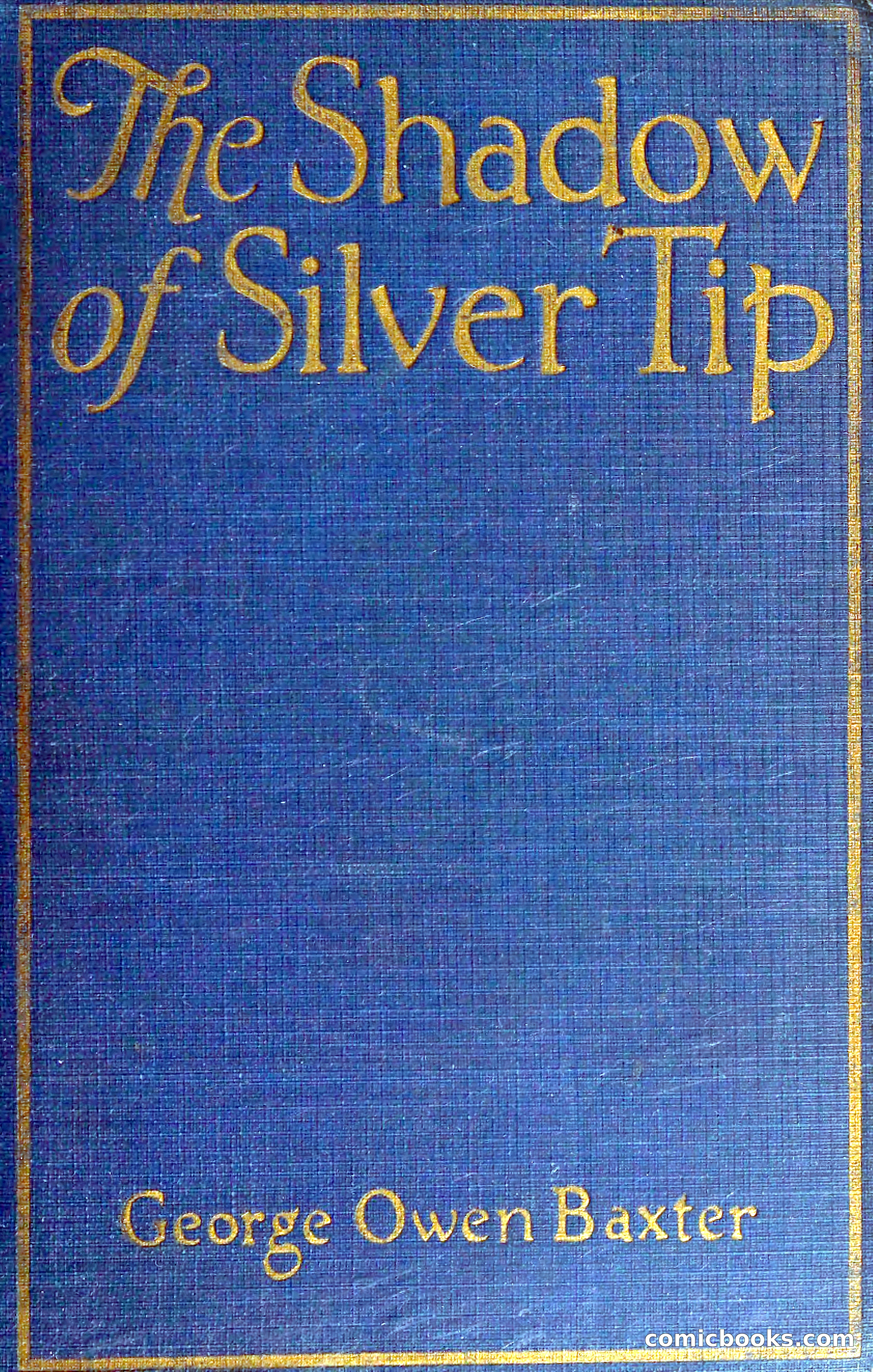 The Shadow of Silver Tip