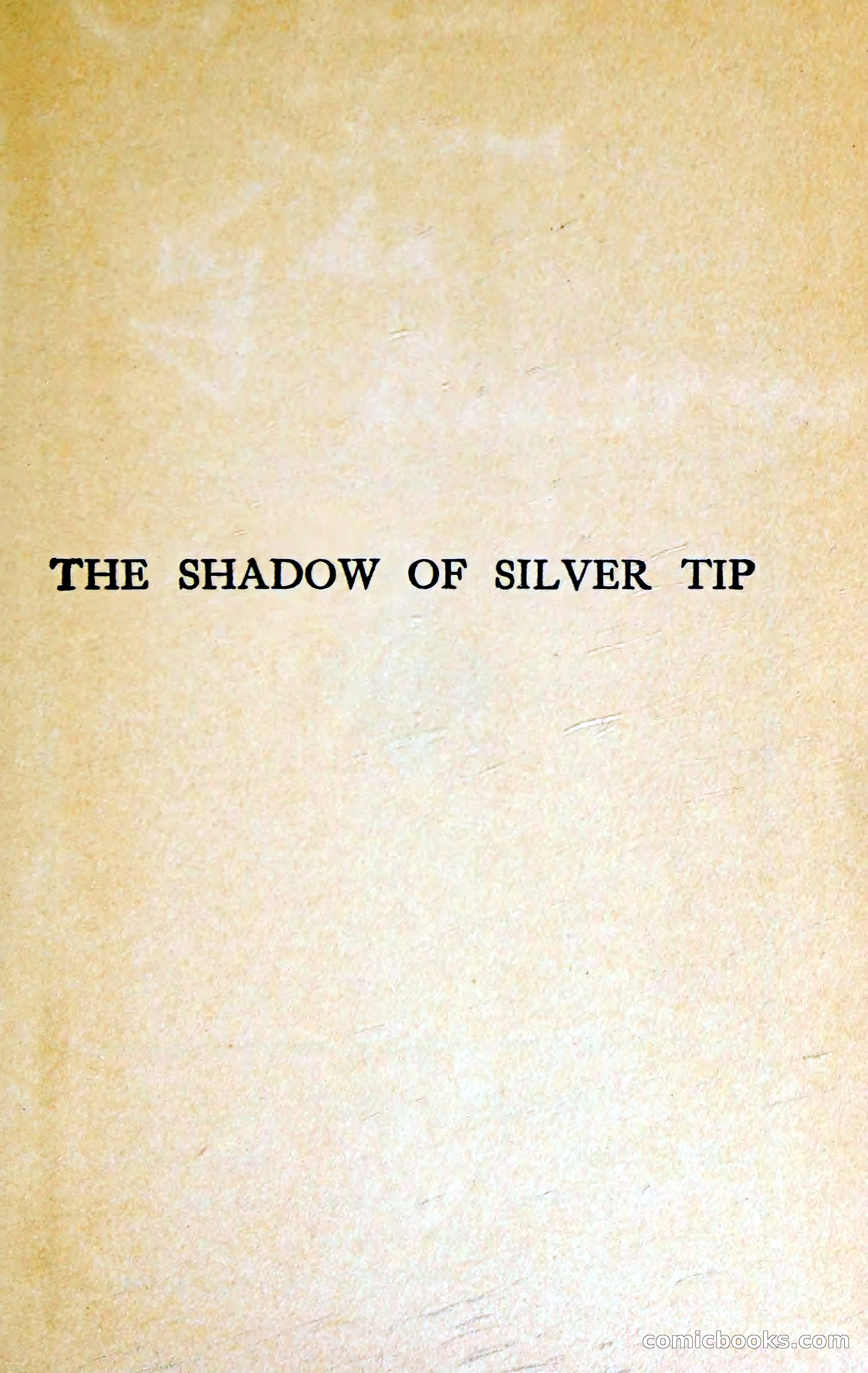 The Shadow of Silver Tip — page 6 of 329