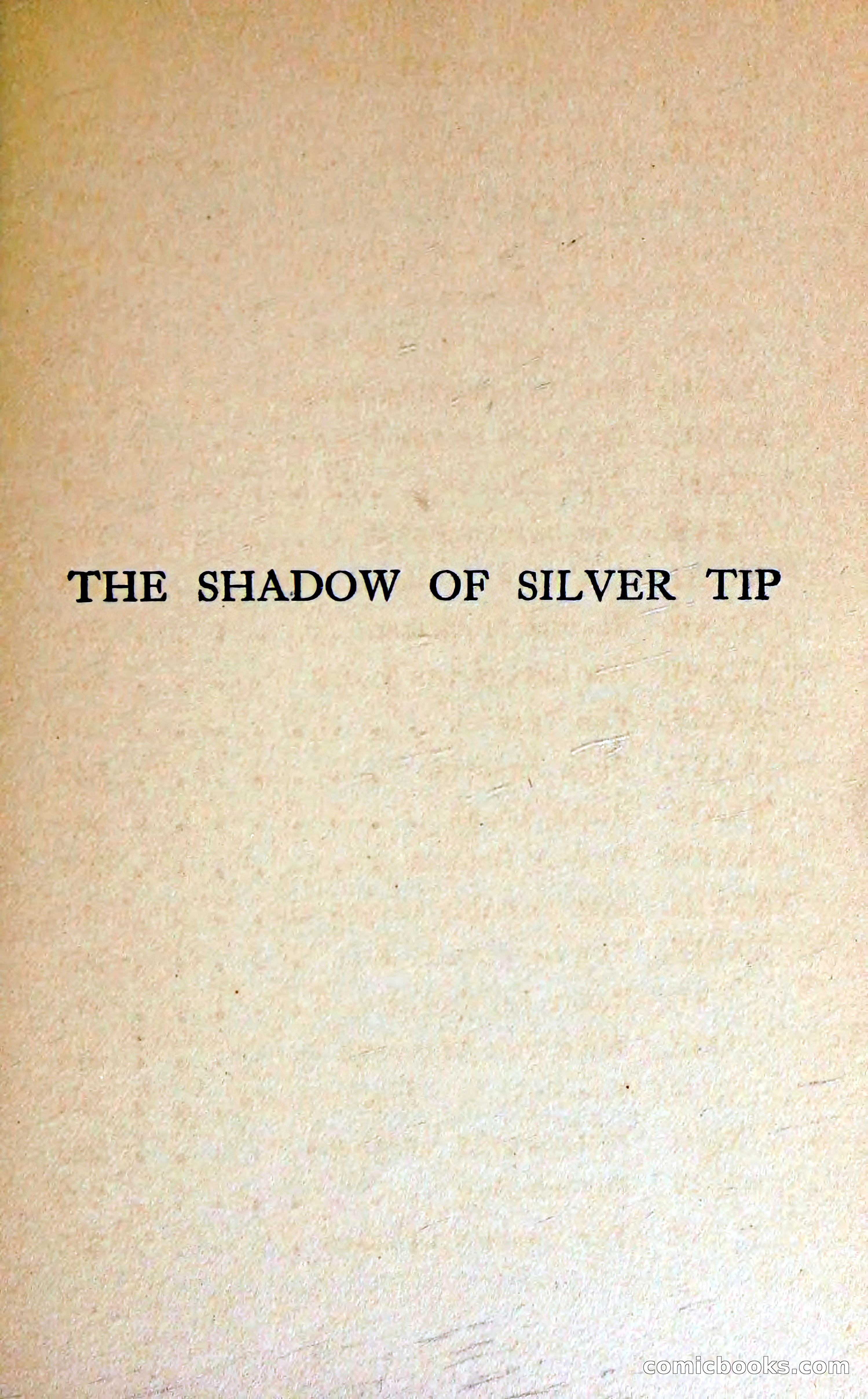 The Shadow of Silver Tip — page 12 of 329