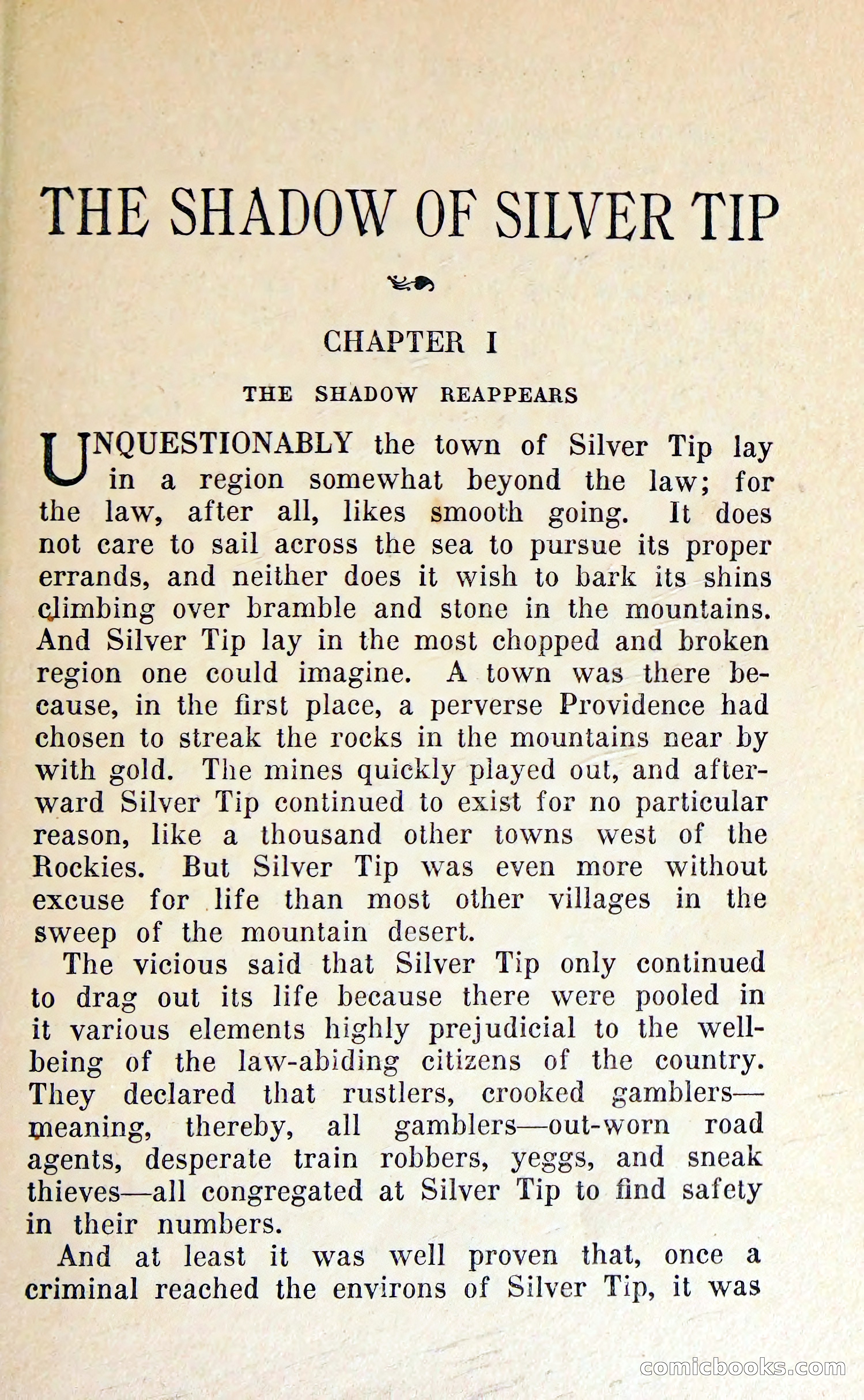 The Shadow of Silver Tip — page 14 of 329