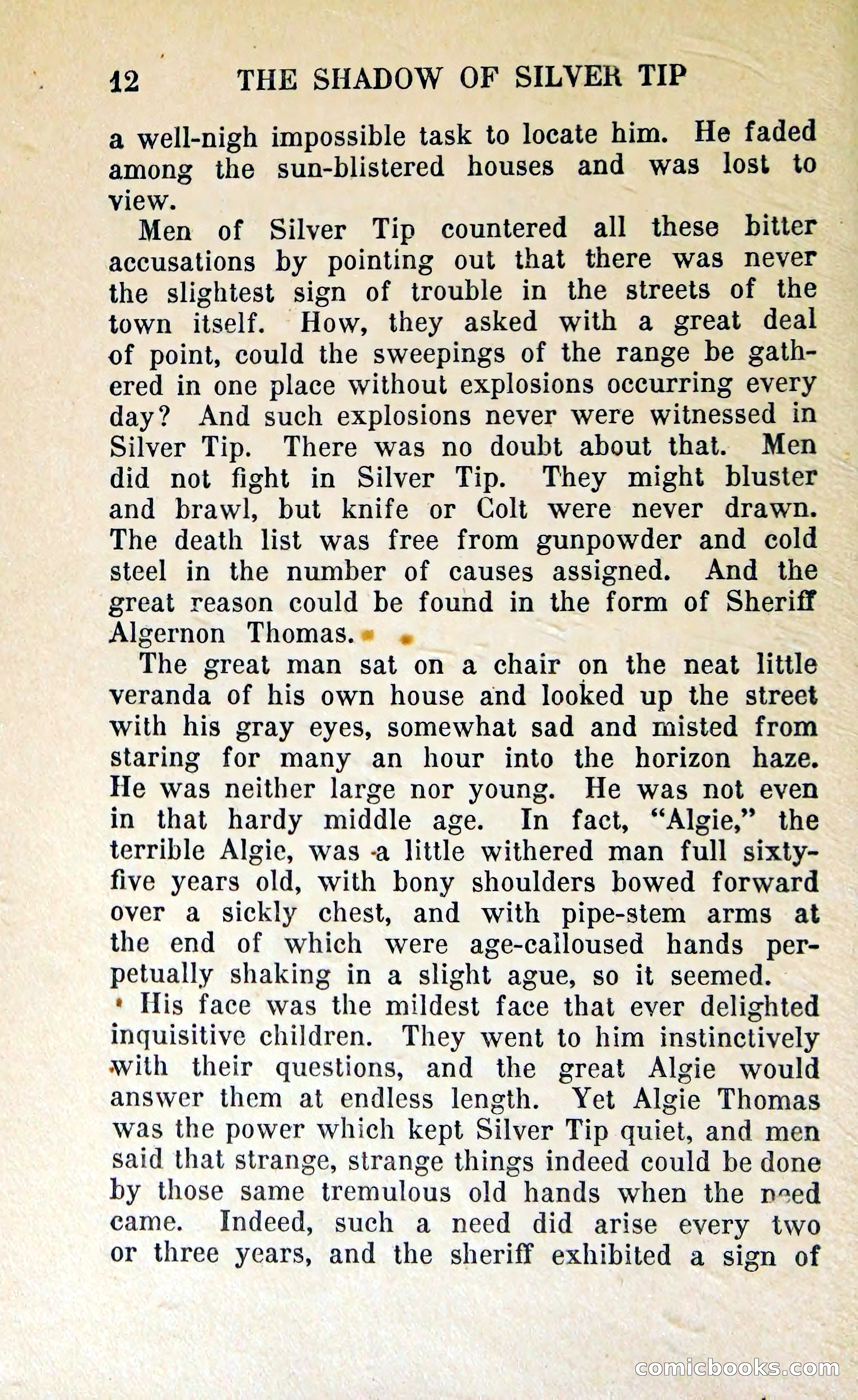 The Shadow of Silver Tip — page 15 of 329