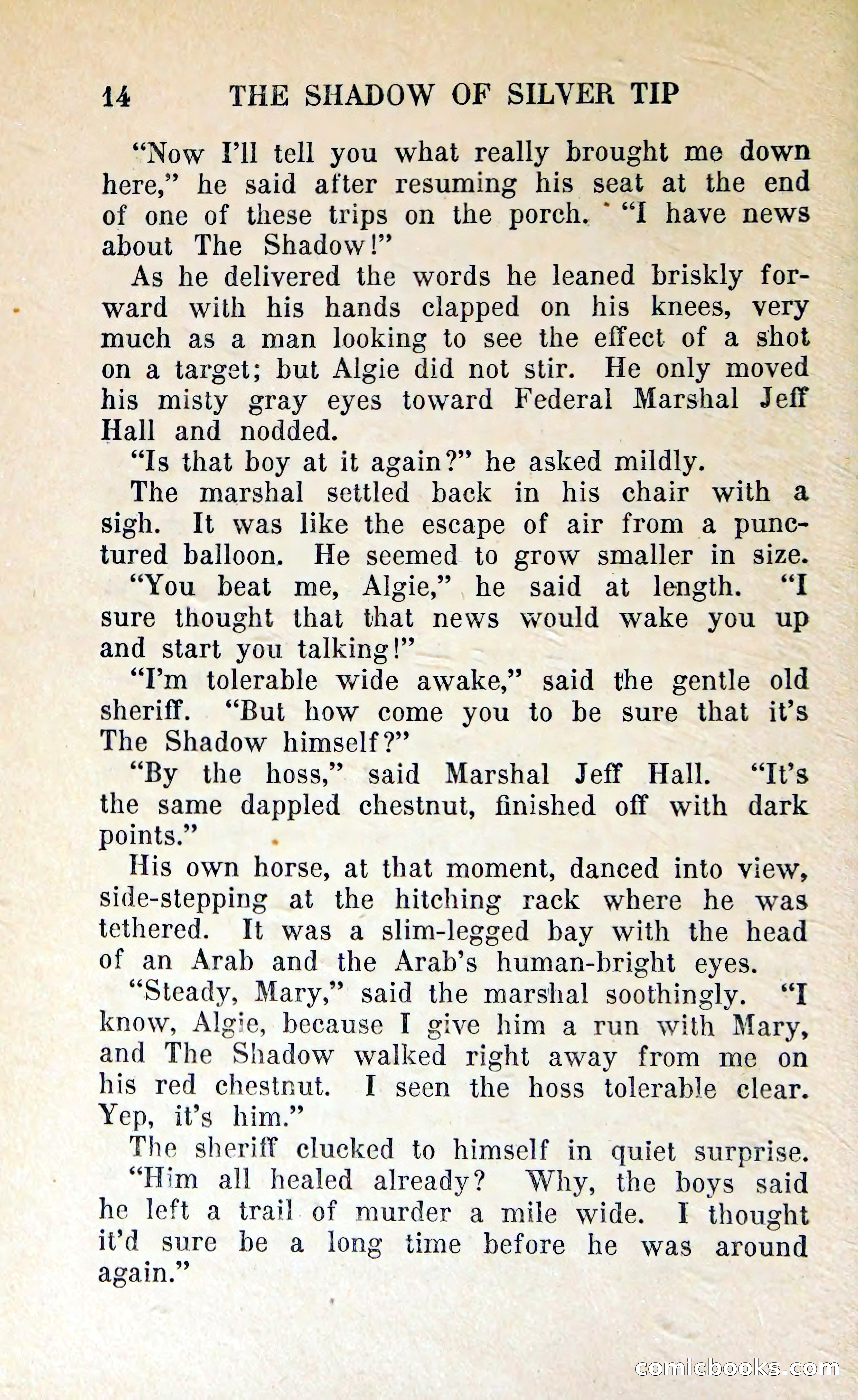 The Shadow of Silver Tip — page 17 of 329