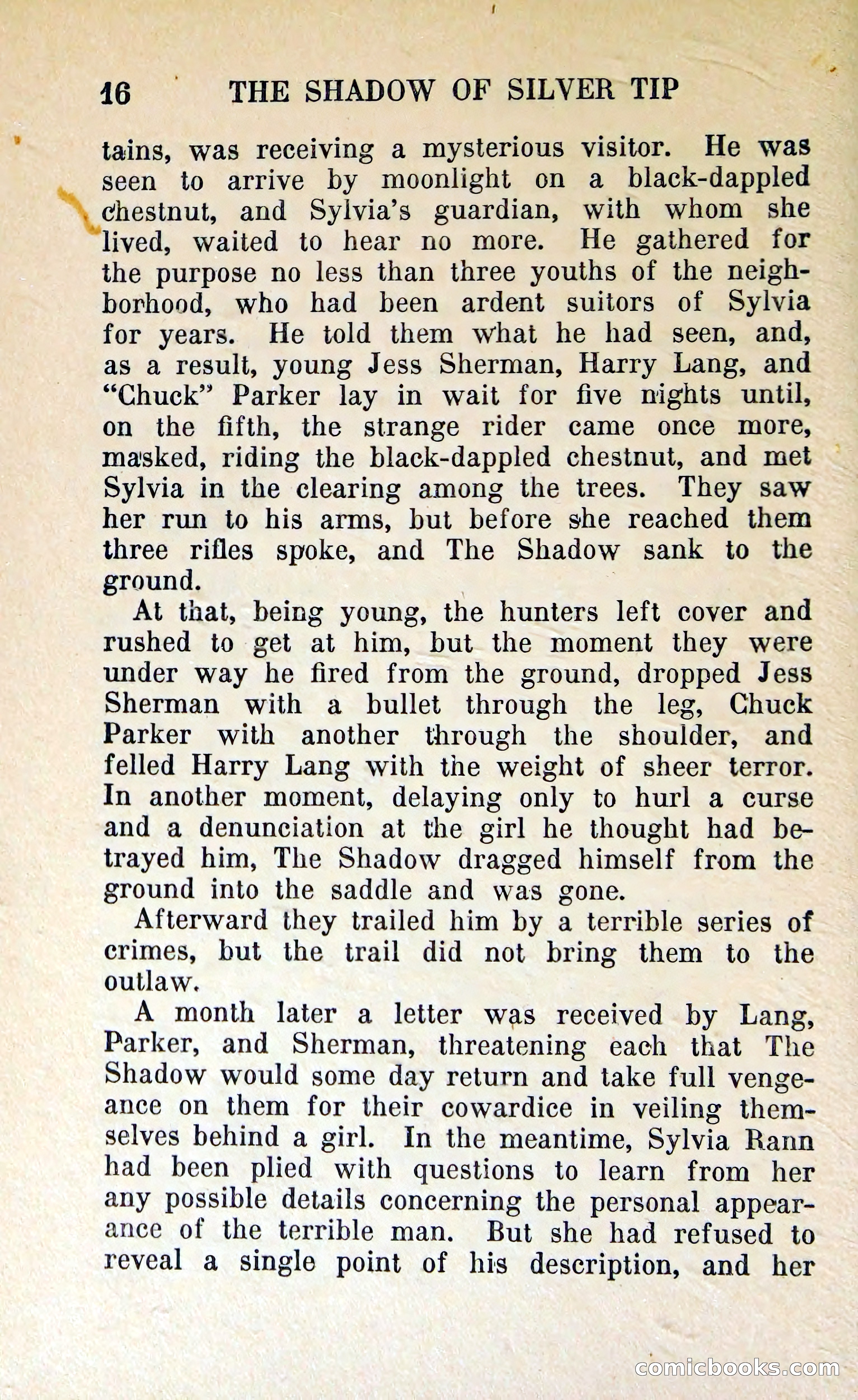 The Shadow of Silver Tip — page 19 of 329