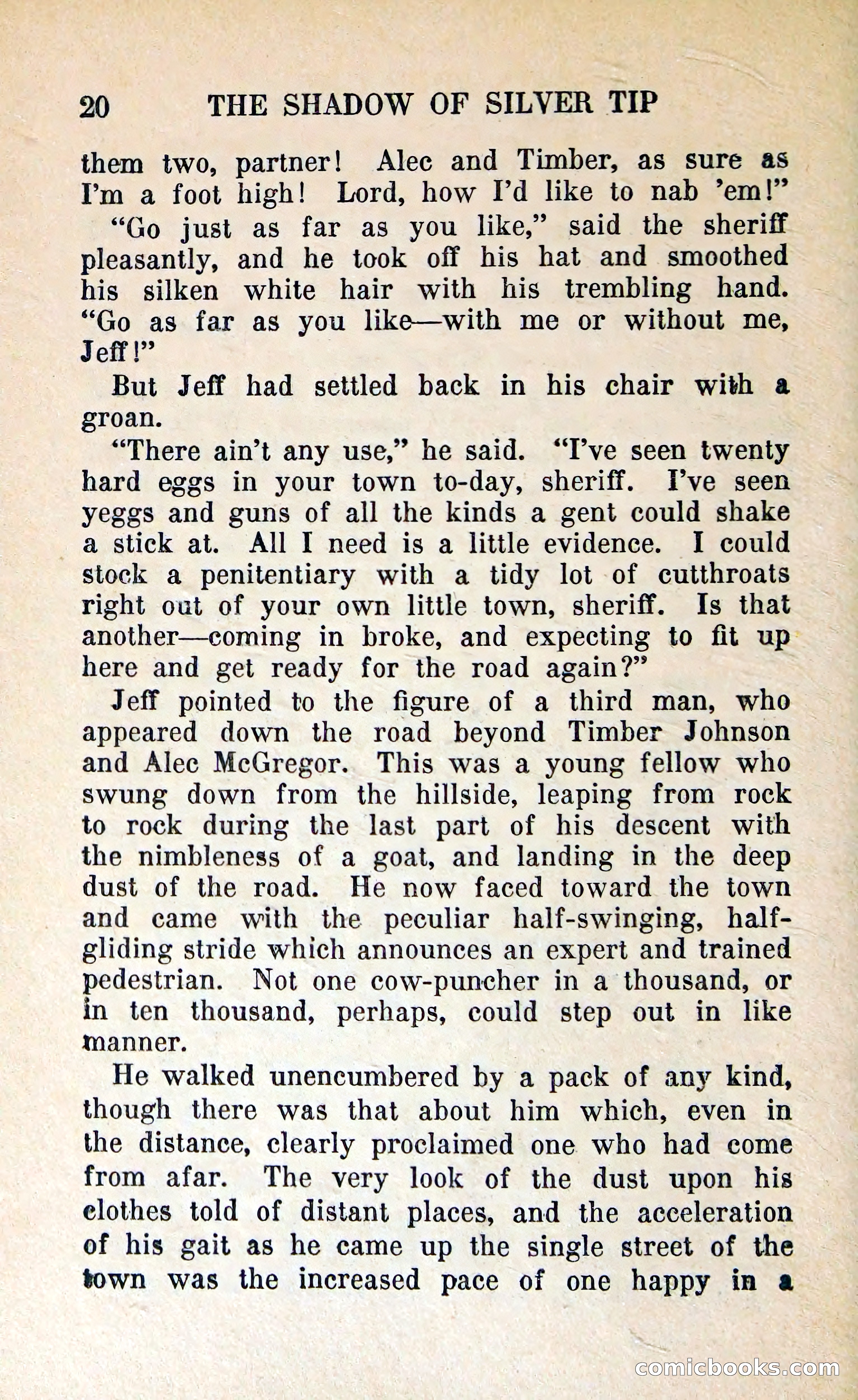 The Shadow of Silver Tip — page 23 of 329