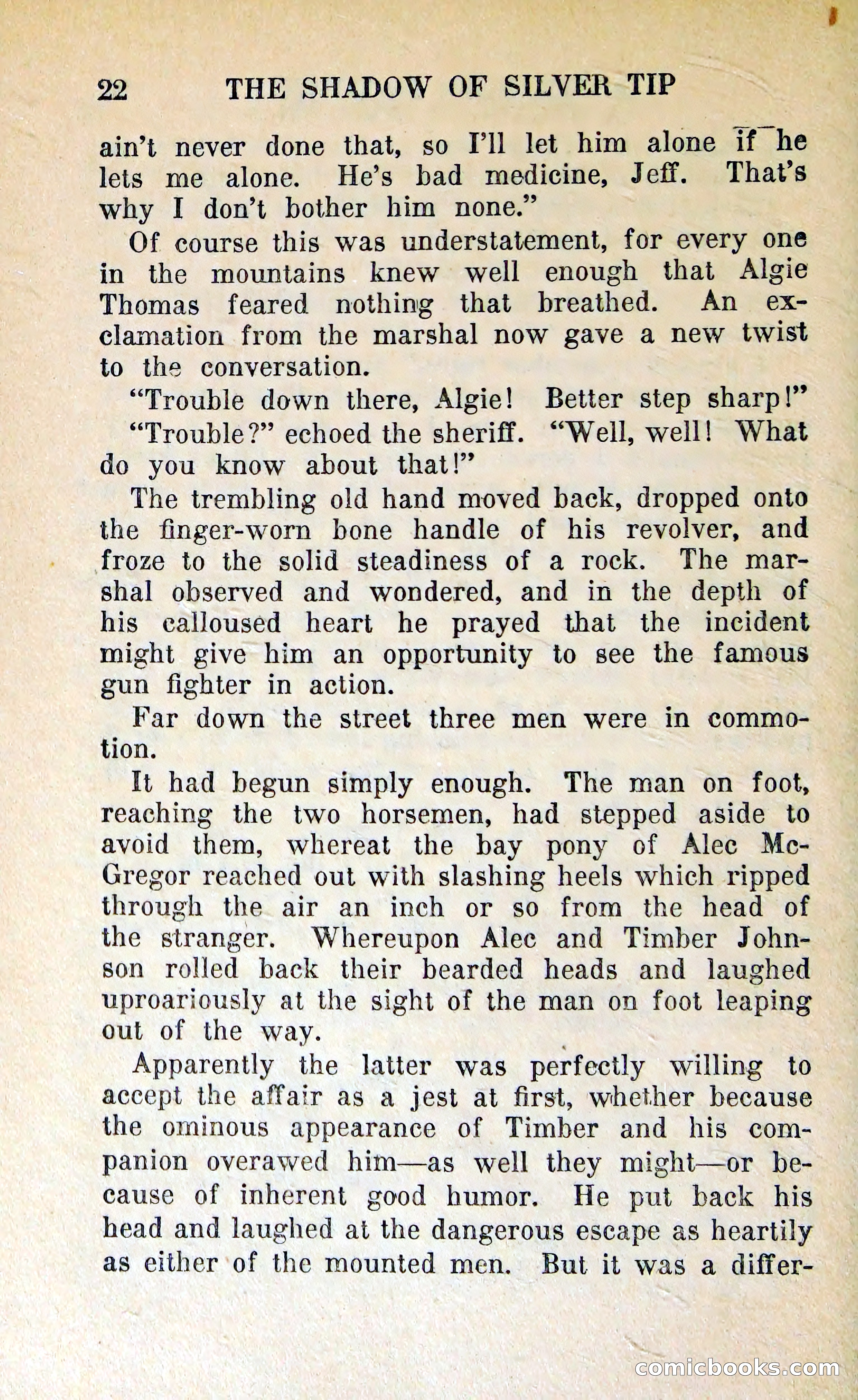 The Shadow of Silver Tip — page 25 of 329