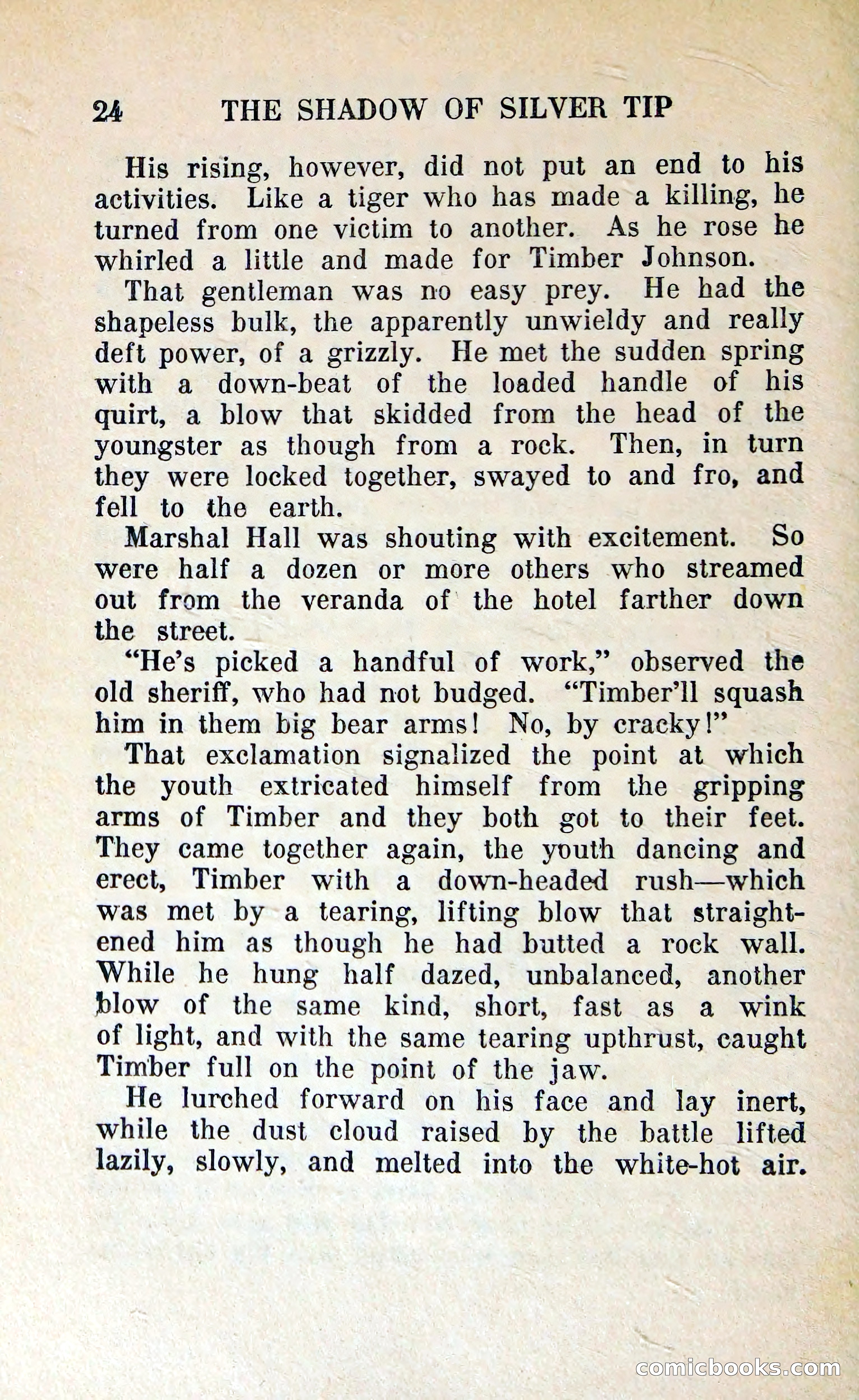 The Shadow of Silver Tip — page 27 of 329