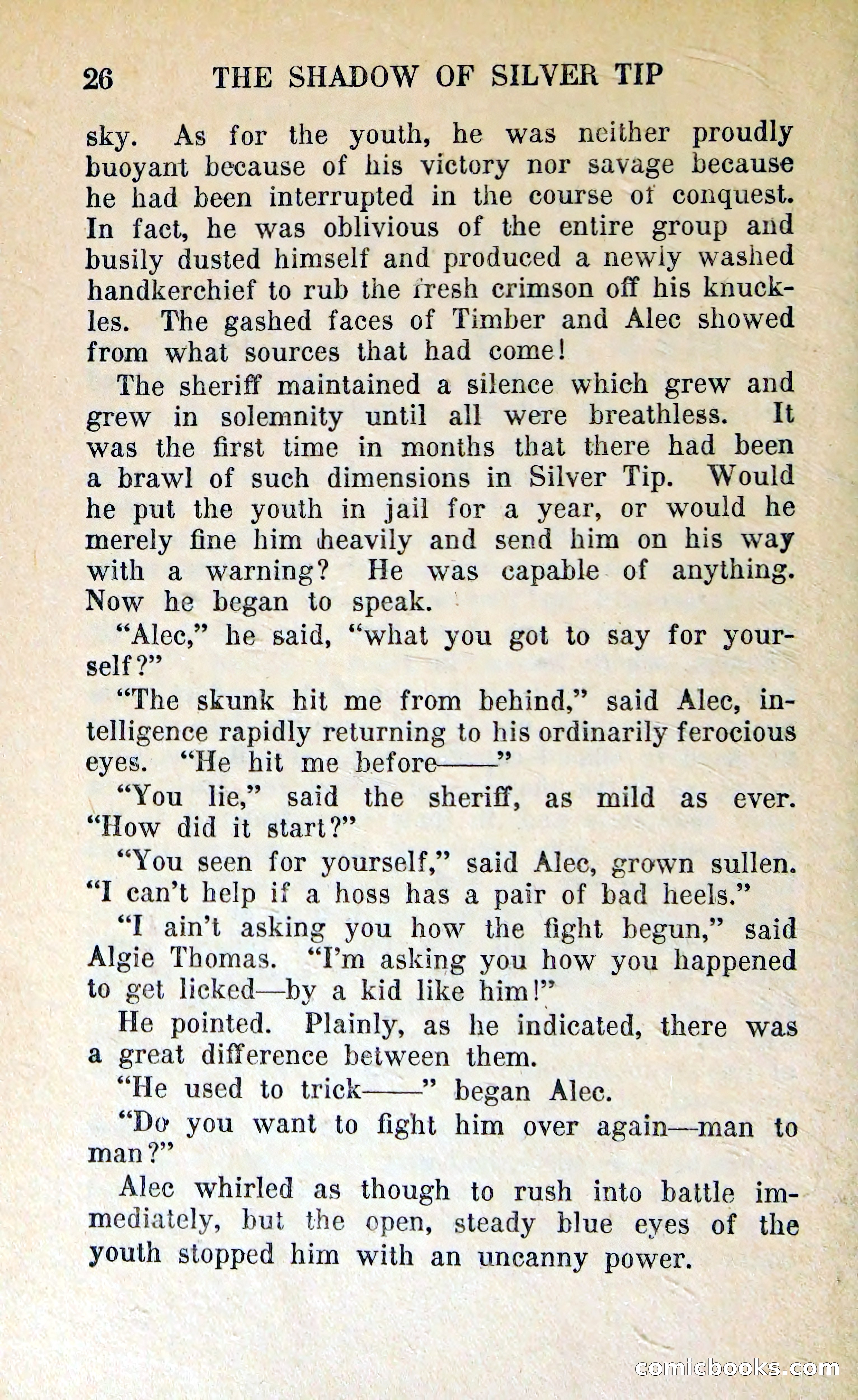 The Shadow of Silver Tip — page 29 of 329